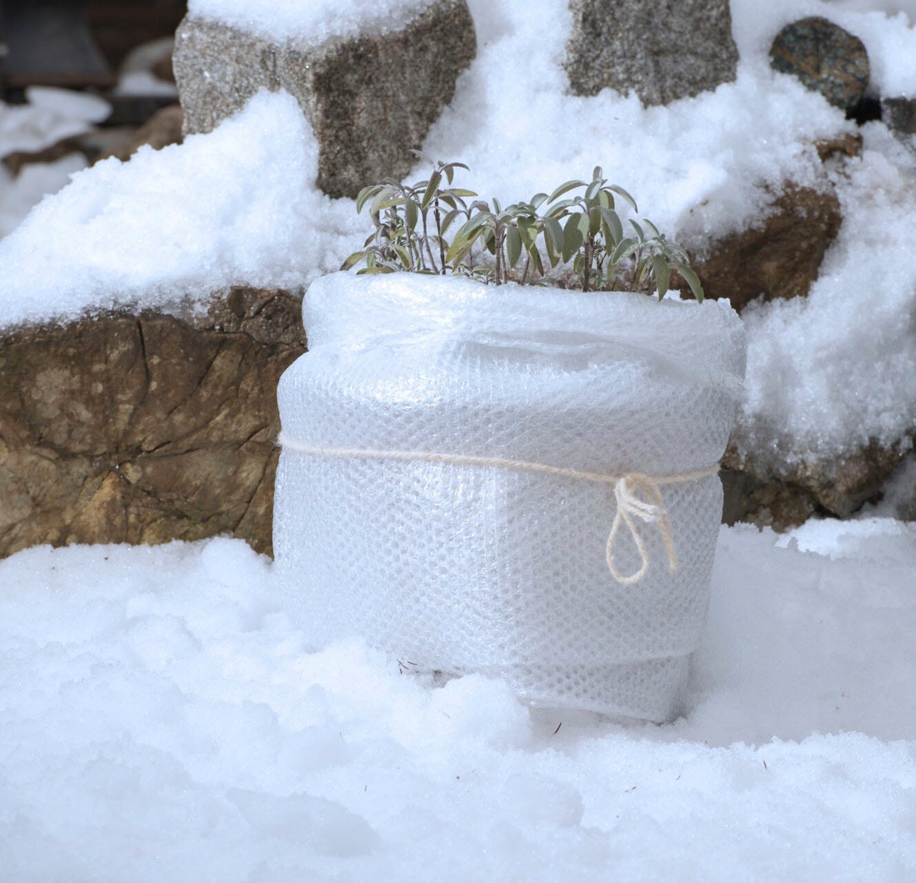 Windhager Winterschutzhaube Winter-Kälteschutzfolie, 5x1 m