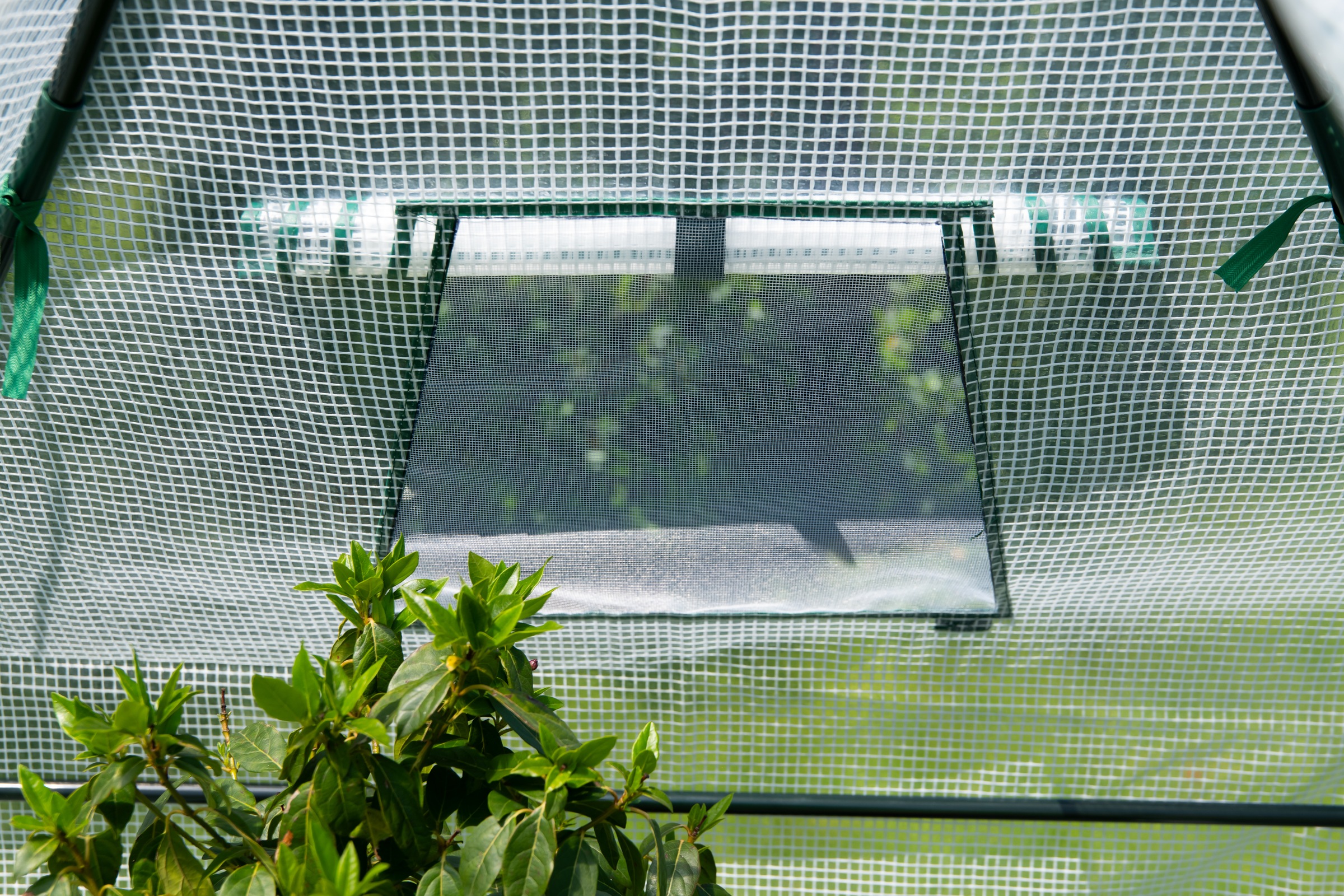 WESTMANN Foliengewächshaus »Chili«, Überwinterungszelt