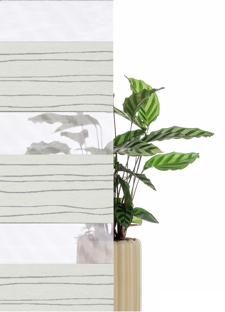 my home Doppelrollo »PAGELLA«, Lichtschutz, Blendschutz-Sichtschutz-Verdunkelung, ohne Bohren, freihängend, mit eingewebten Chenillefäden NEUHEIT!