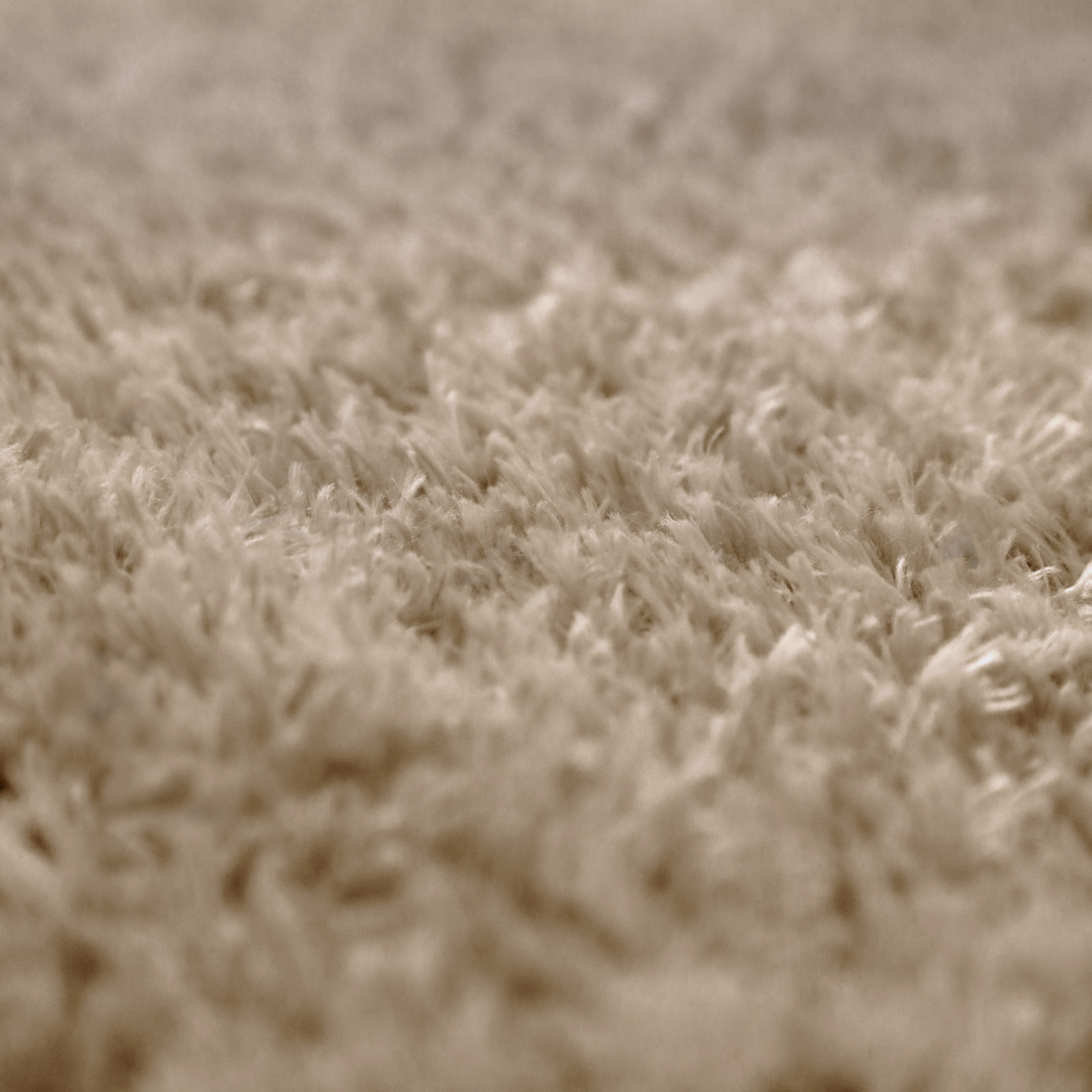 OTTO home Hochflor-Teppich »Josetta , auch als Läufer erhältlich« rechteckig 50 mm Höhe Langflor, Shaggy, dichter weicher Hochflor, uni farben, Wohnzimmer