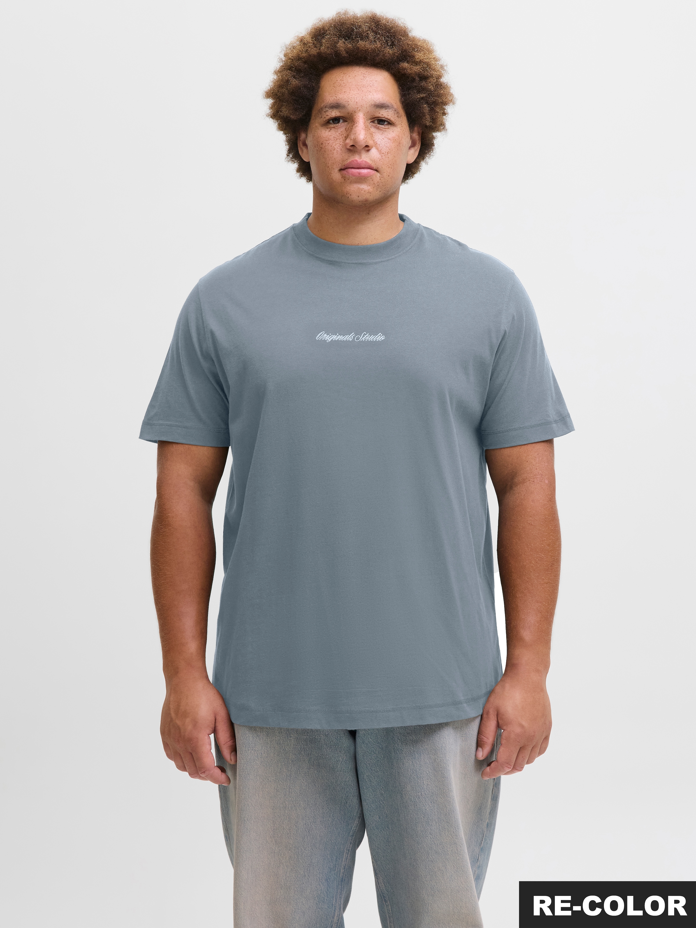 Jack & Jones PlusSize T-Shirt »JORNORREBRO EMB TEE SS CREW NECK PLS«