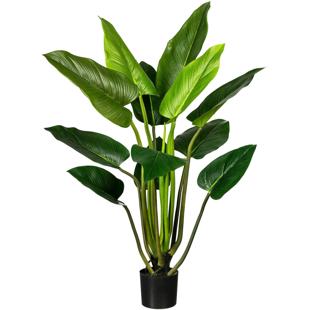 Creativ green Künstliche Zimmerpflanze »Philodendron«, (1 St.), im Hängetopf