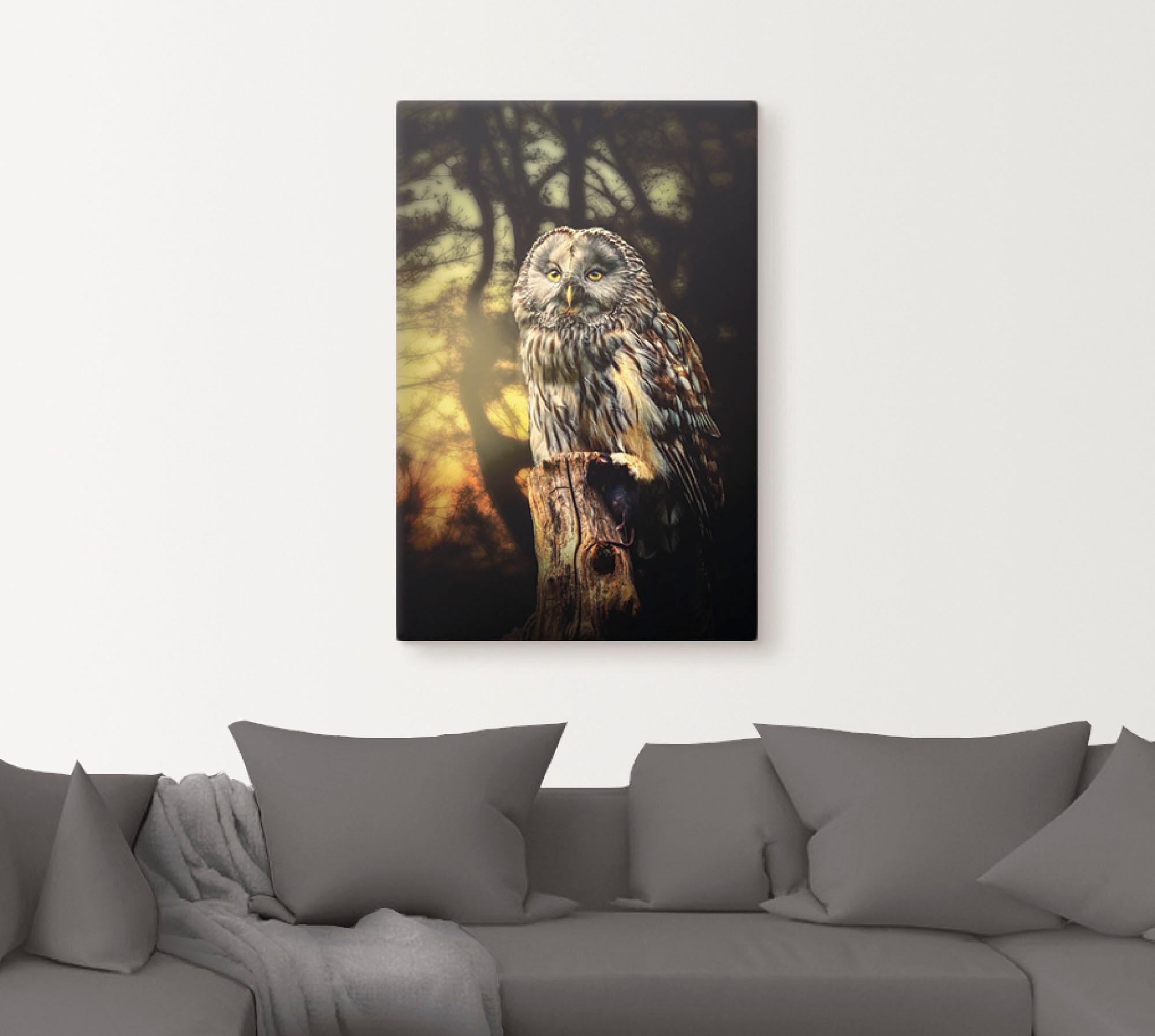 Artland Wandbild »Eule« Vögel 1 Stk. tlg. als Alubild, Outdoorbild, Leinwan günstig online kaufen
