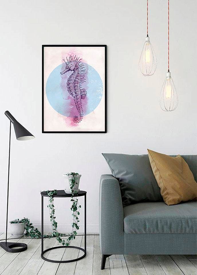 Komar Bild »Sea Horse Circle«, Tiere, (1 St.), Wandbild zur Dekoration - ohne Rahmen