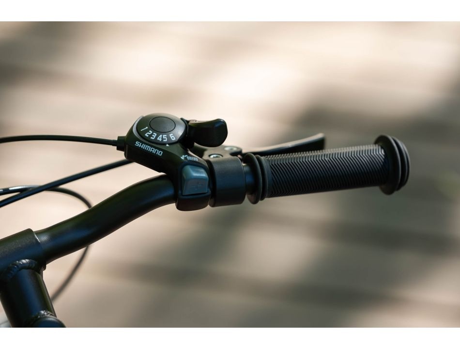 Kross Kinderfahrrad »20" Kinder-MTB Level Mini 2.0 6 Gänge 2026« 6 Gang Shimano Tourney TY21 Schaltwerk Kettenschaltung