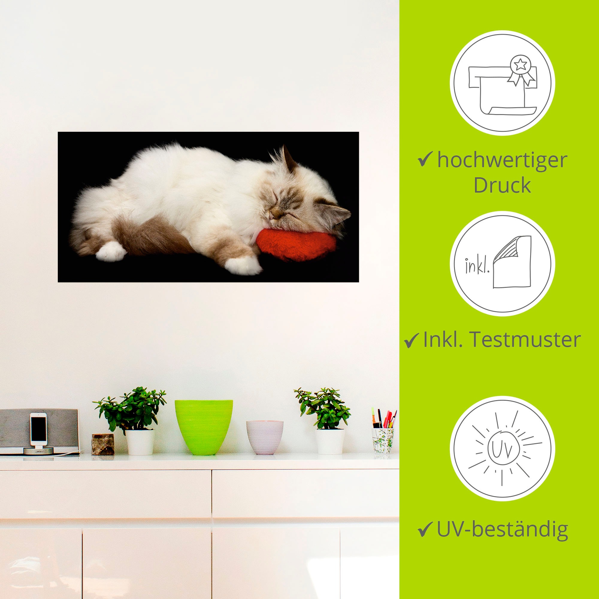 Artland Wandbild »Müde Katze«, Haustiere, (1 St.), als Leinwandbild, Poster, Wandaufkleber in verschied. Größen