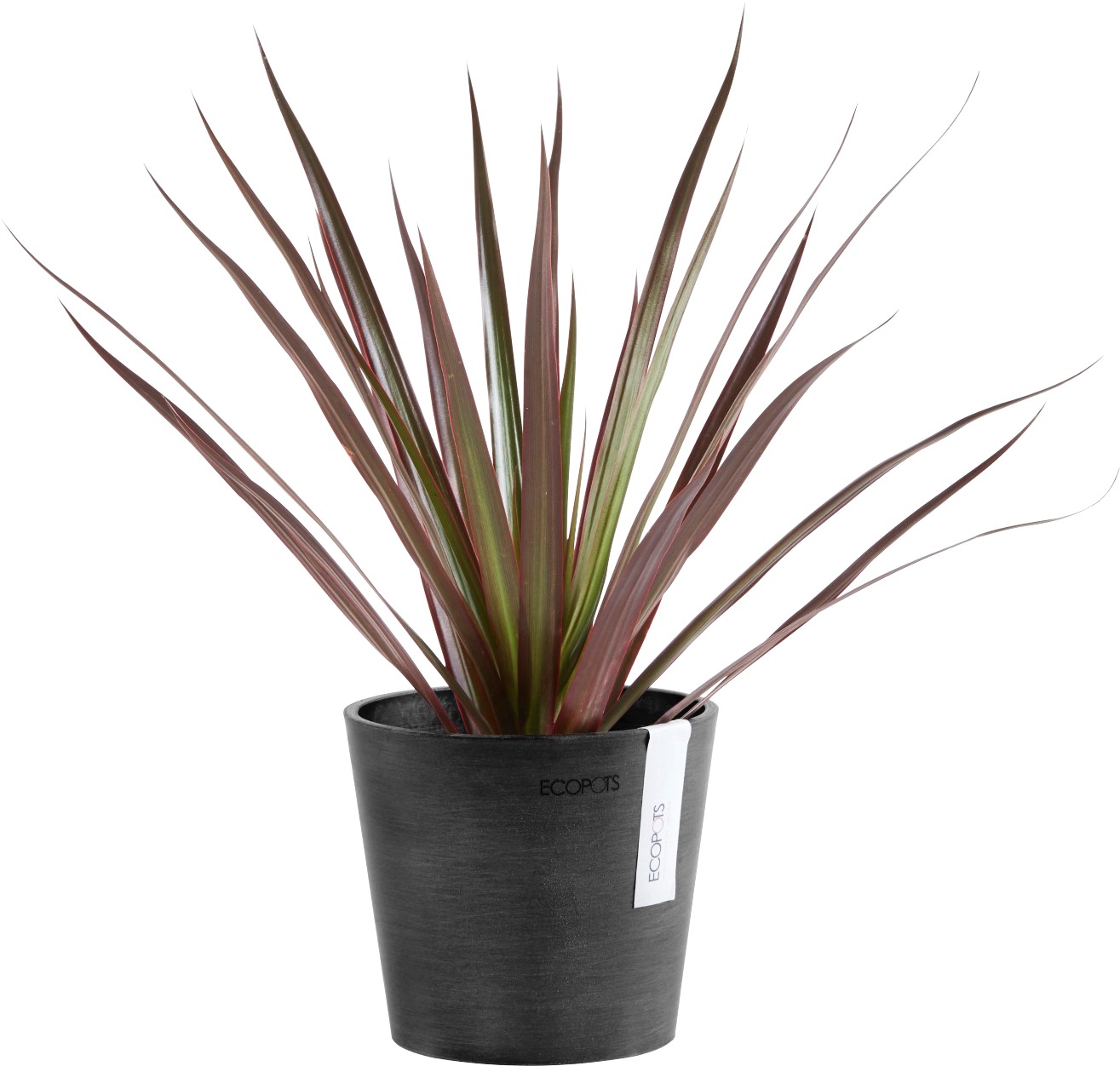 ECOPOTS Blumentopf »AMSTERDAM Mini Dark Grey«, BxTxH: 13x13x11,4 cm