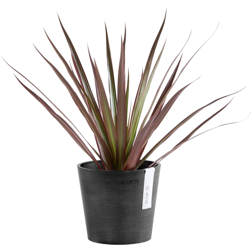 ECOPOTS Blumentopf »AMSTERDAM Mini Dark Grey«