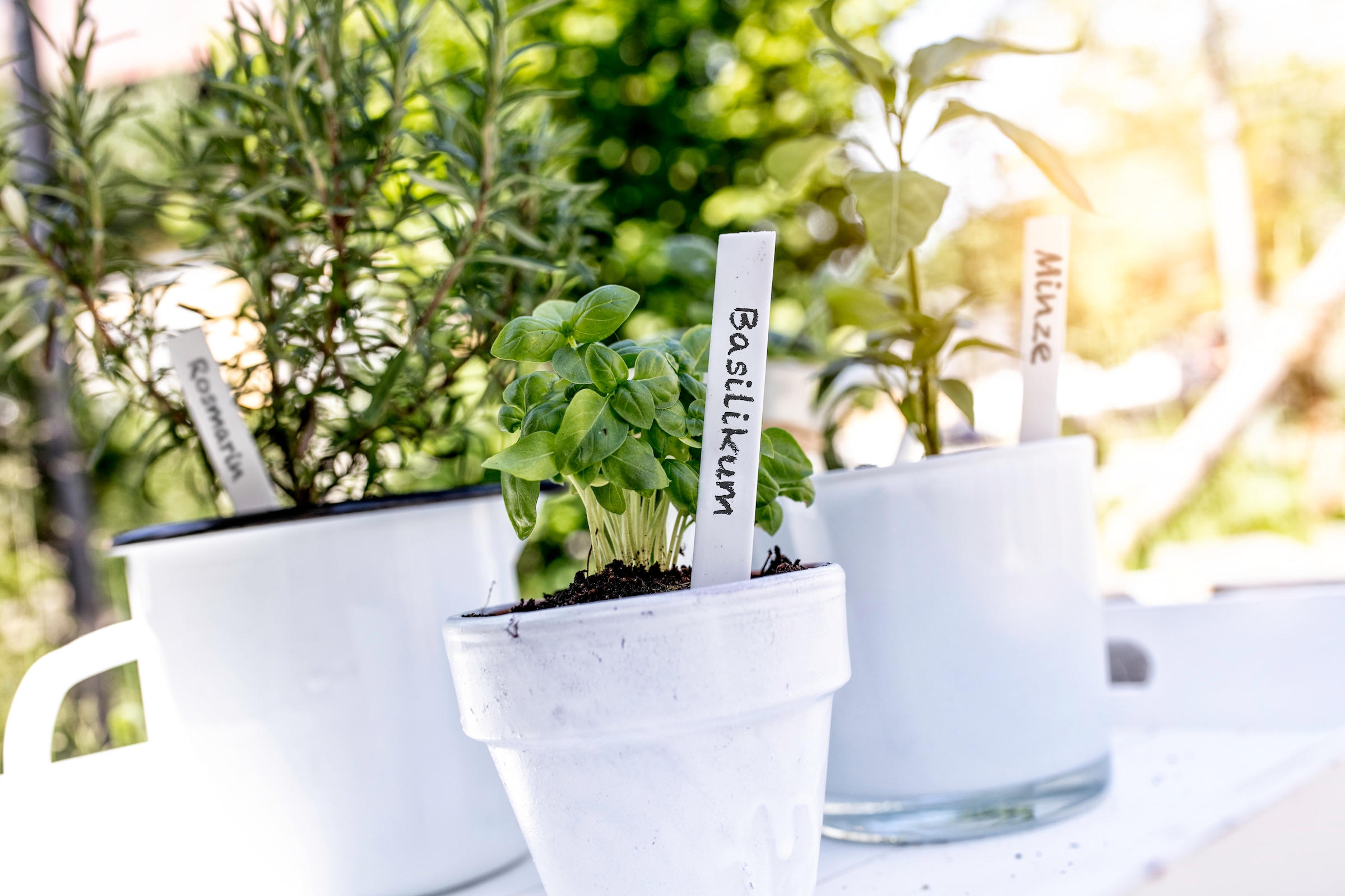 Windhager Gartenstecker »Pflanzenstecker aus witterungsbeständigem Kunststoff, Gartendeko« für Topf und Beetpflanzen, 50 Stück + 1 Gärtnerstift inklusive