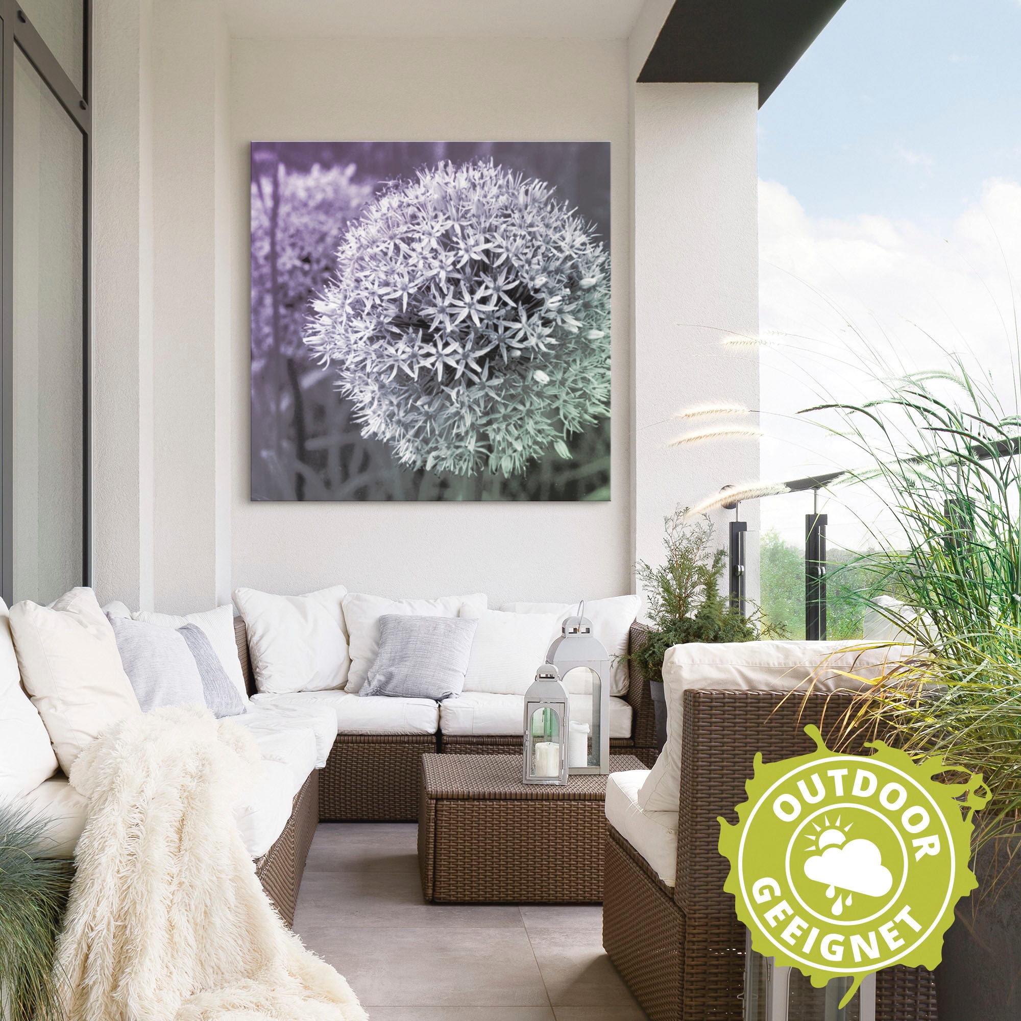 Artland Wandbild »Lila Sensation I«, Blumen, (1 St.), als Alubild, Outdoorbild, Leinwandbild, Poster, Wandaufkleber