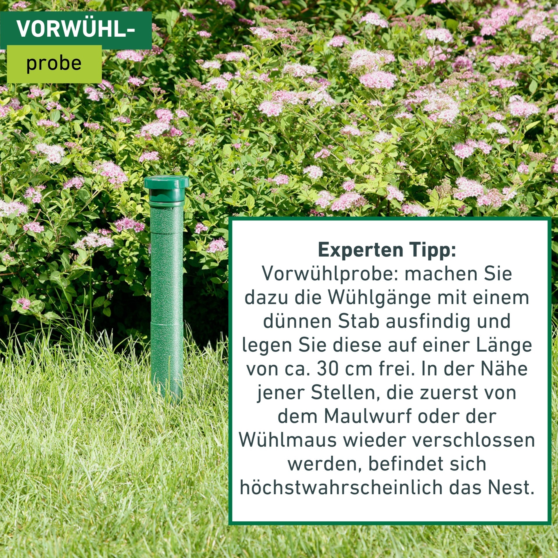 Windhager Ultraschall-Tierabwehr »Maulfwurfschreck und Wühlmausvertreiber Classic, batteriebetrieben« Wirkungsbereich 600 m² mit niederfrequenten Schallwellen