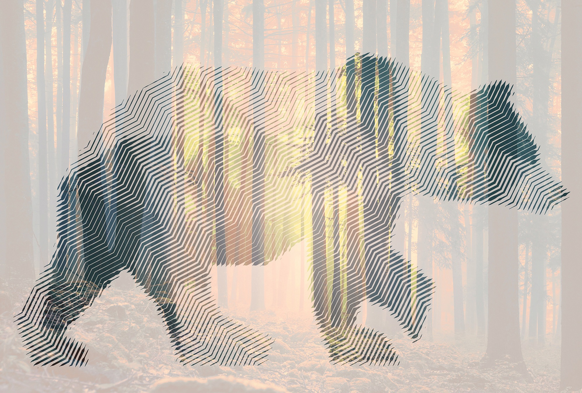 Architects Paper Fototapete »Atelier 47 Bear Forest 1« Wald glatt Vlies, Wa günstig online kaufen