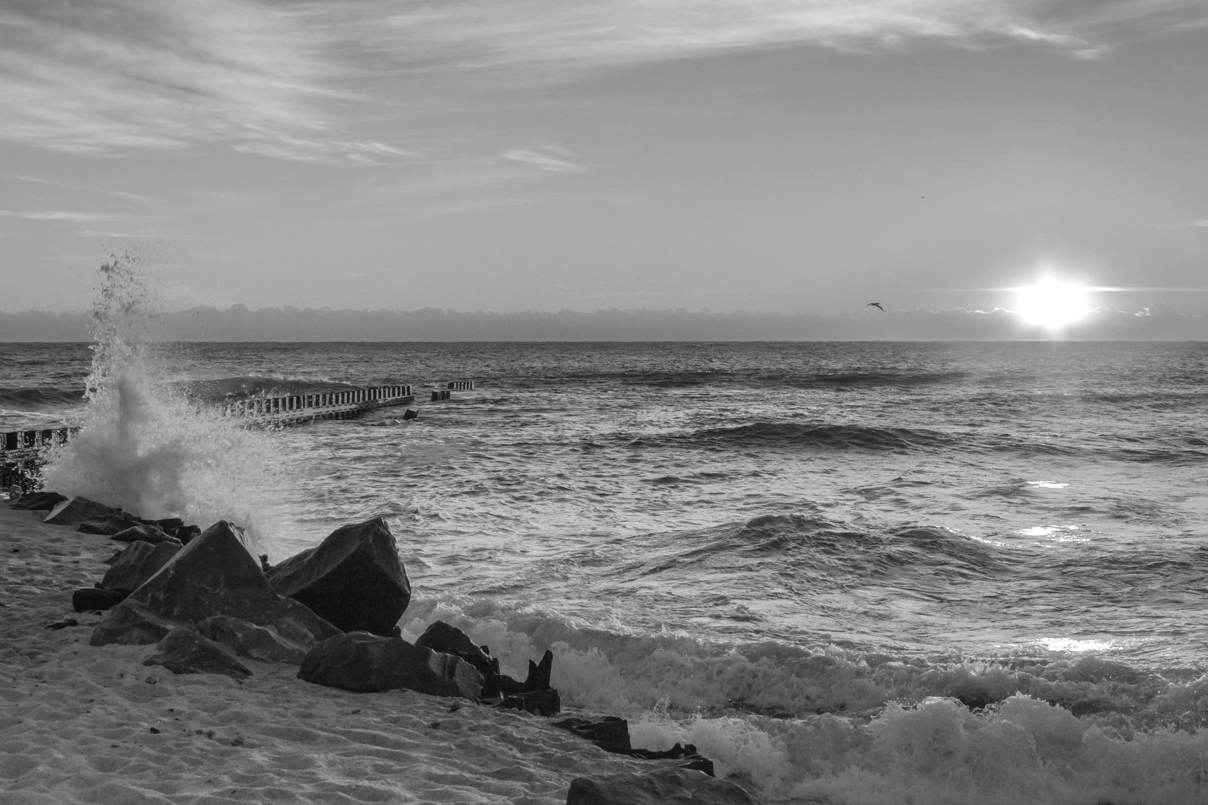 Papermoon Fototapete »Strand Schwarz & Weiß« günstig online kaufen