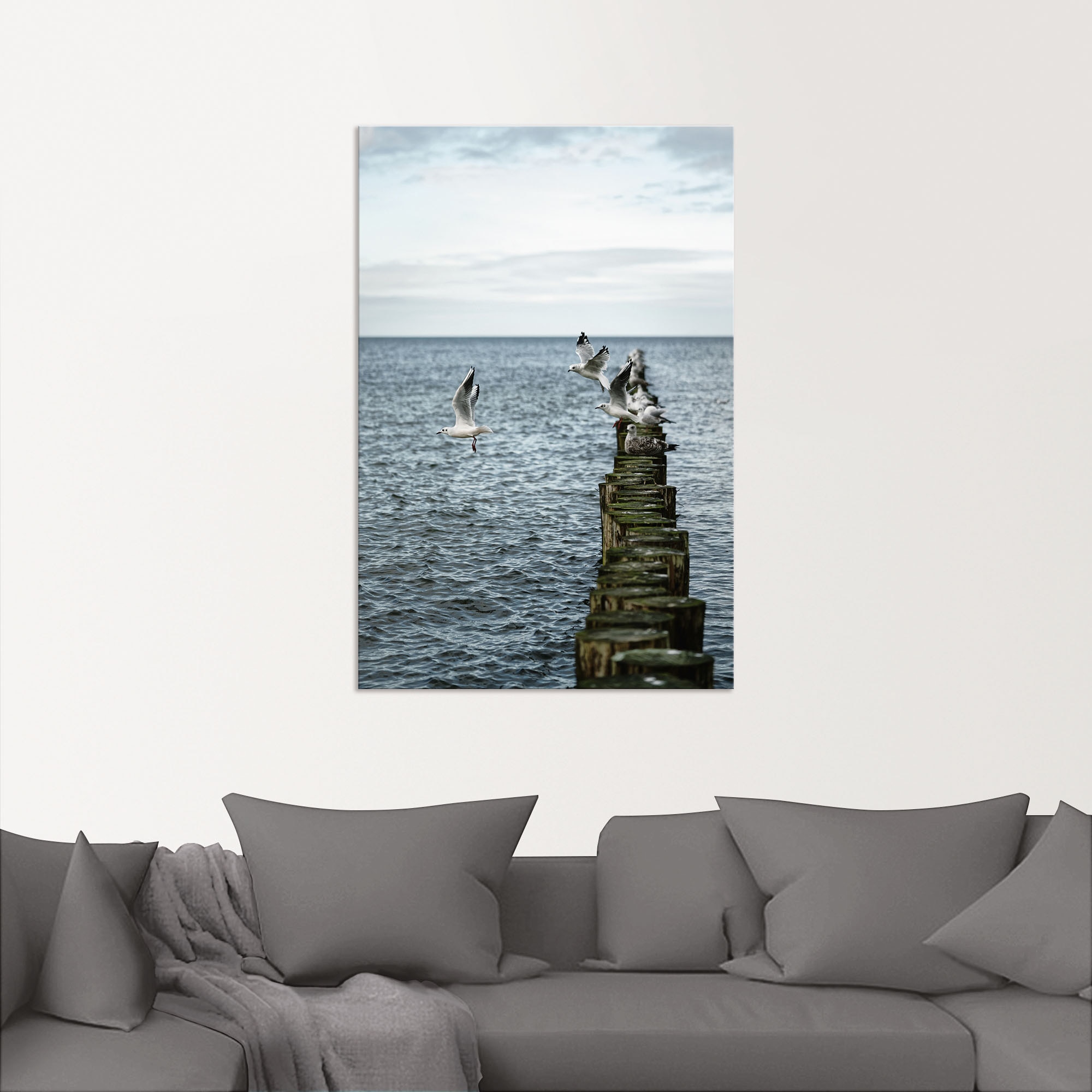Artland Wandbild »Möwen starten von einer Buhnenreihe«, Vogelbilder, (1 St.), als Alubild, Outdoorbild, Poster in verschied. Größen