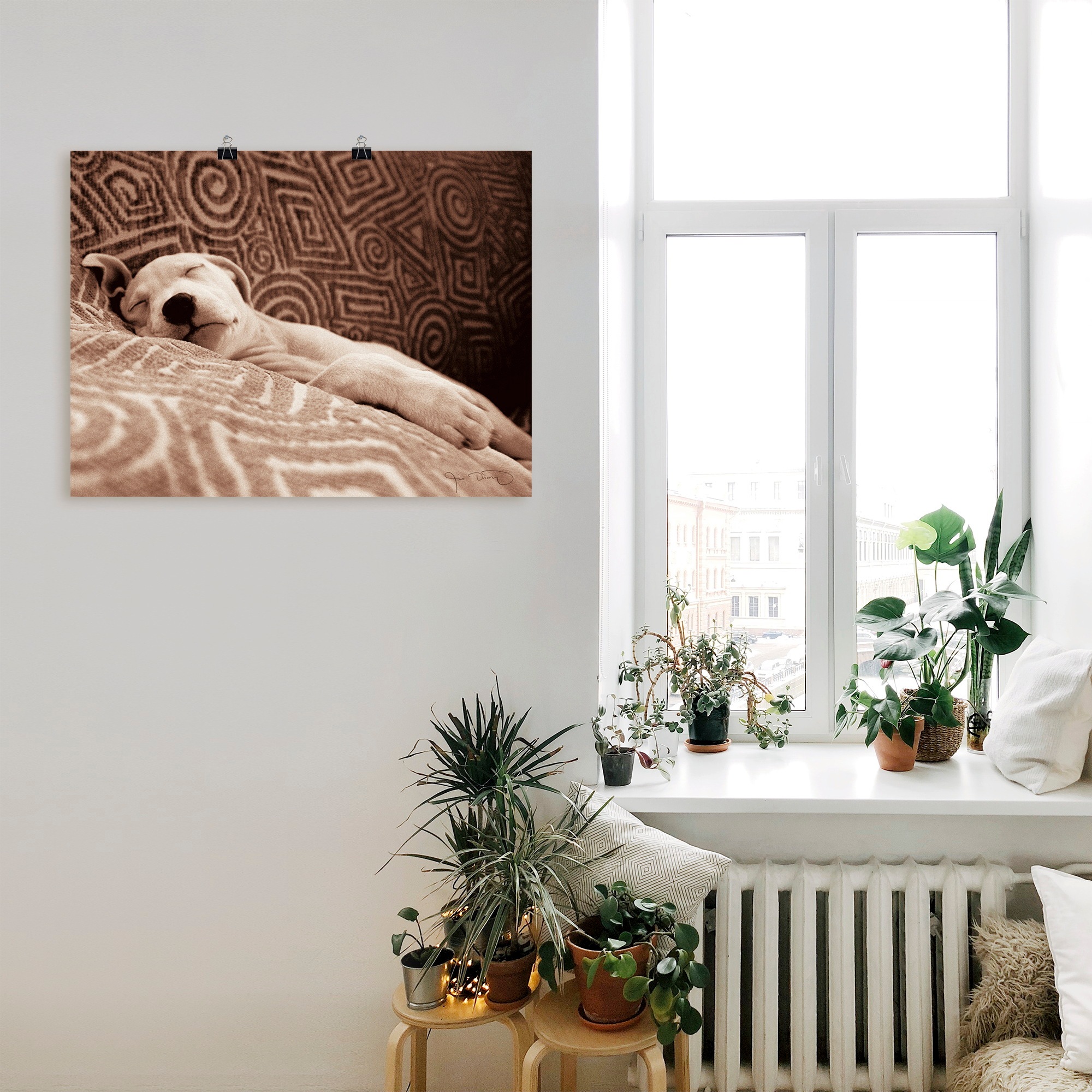 Artland Wandbild »Müder Hund«, Haustiere, (1 St.), als Leinwandbild, Wandaufkleber oder Poster in versch. Größen