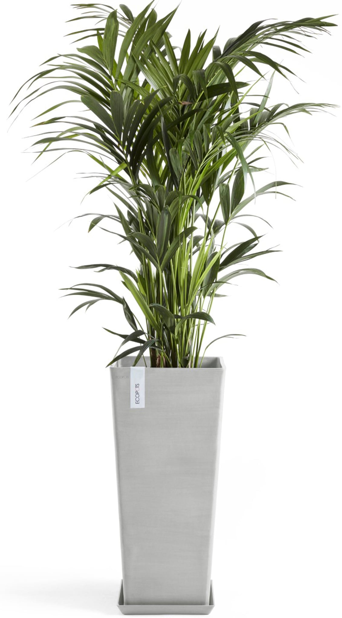 ECOPOTS Blumentopf »Rotterdam hoch 70 Weißgrau« für innen und außen: frostsicher, bruchsicher und lichtbeständig