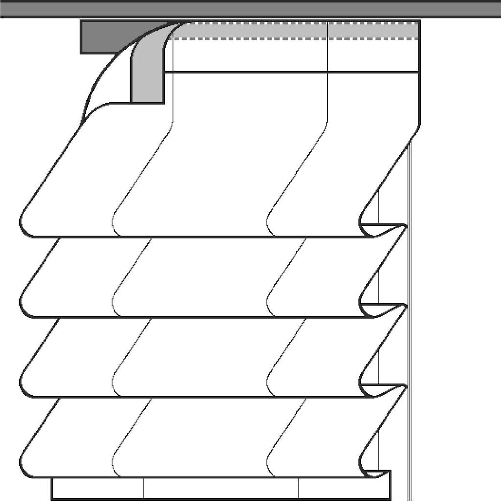 Neutex for you! Raffrollo »Basic«, mit Klettschiene