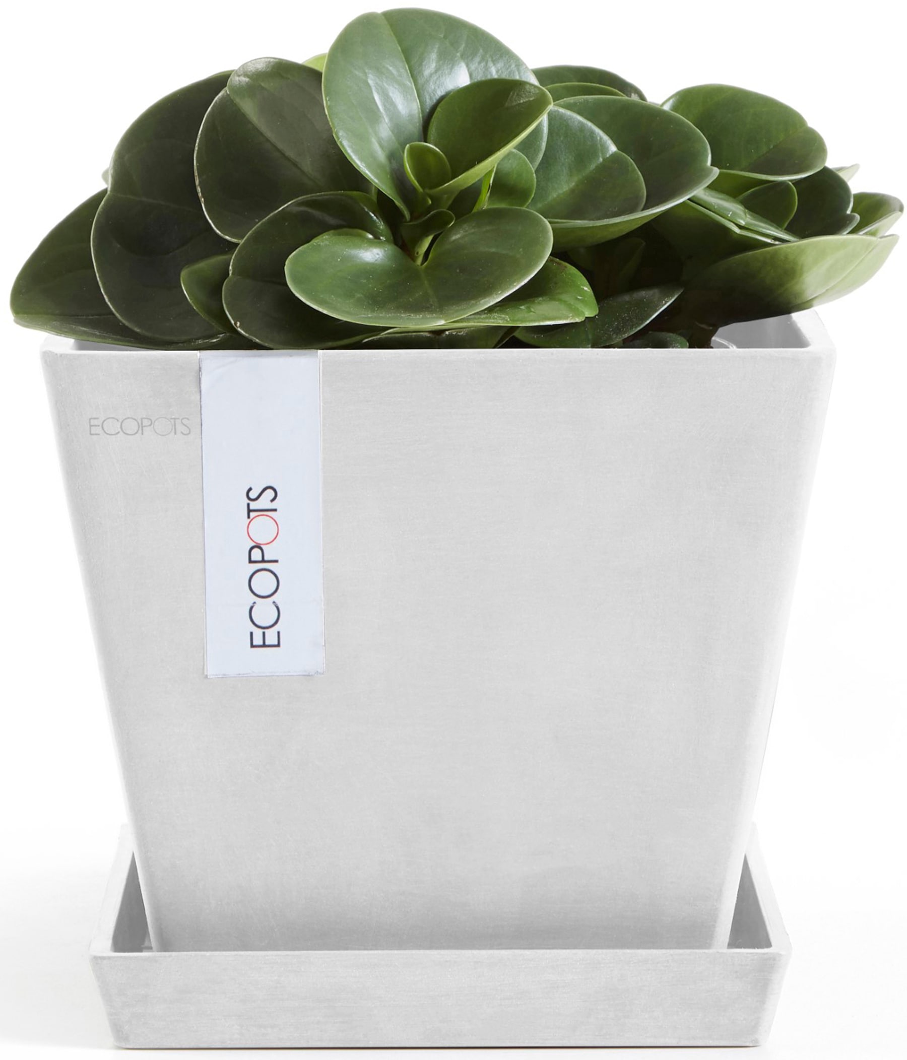 ECOPOTS Blumentopf »Rotterdam 20 Weiß« für innen und außen: frostsicher, bruchsicher und lichtbeständig