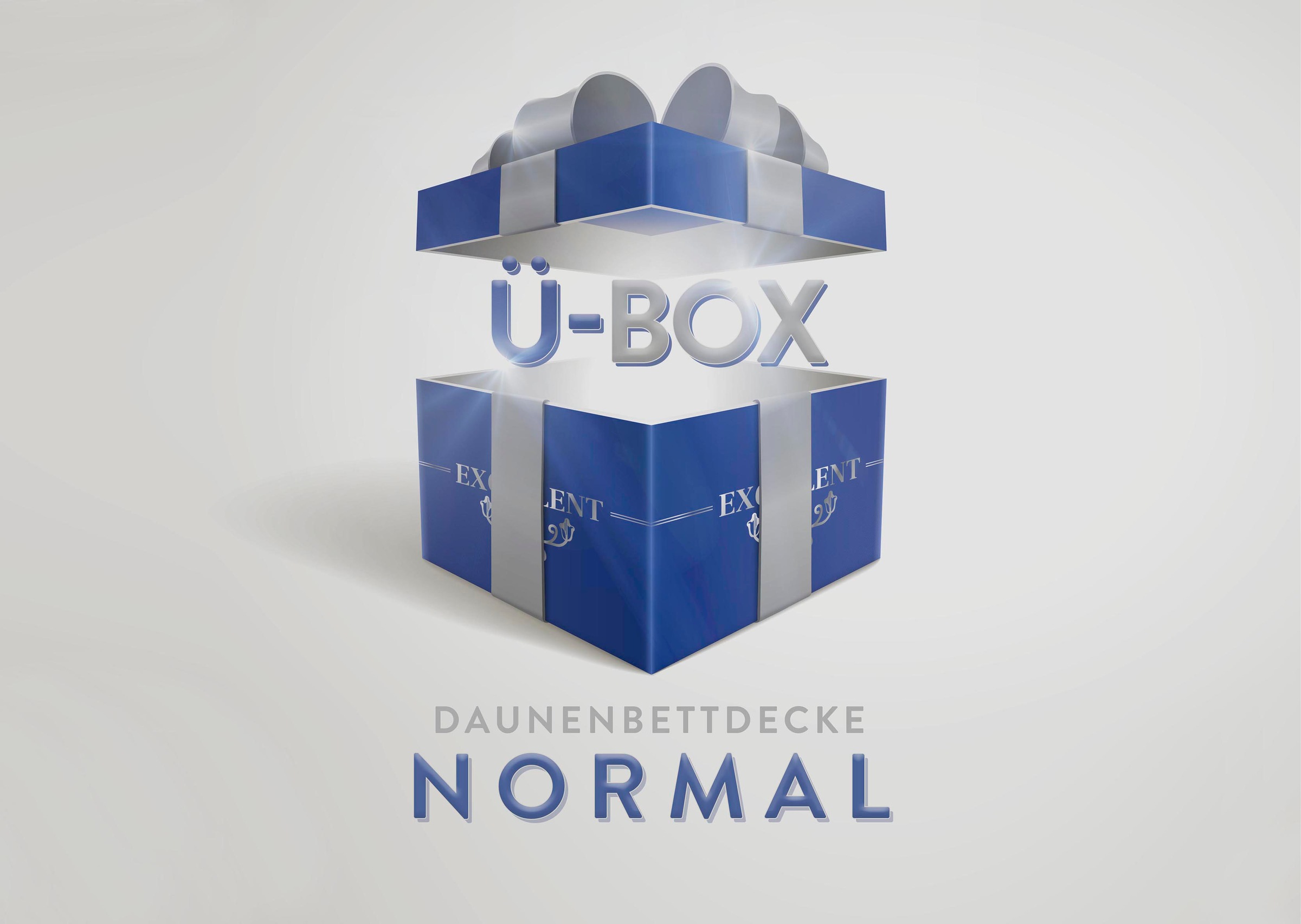 Excellent Daunenbettdecke »Überraschungsbox«, normal, Füllung 90% Daunen, 1 günstig online kaufen