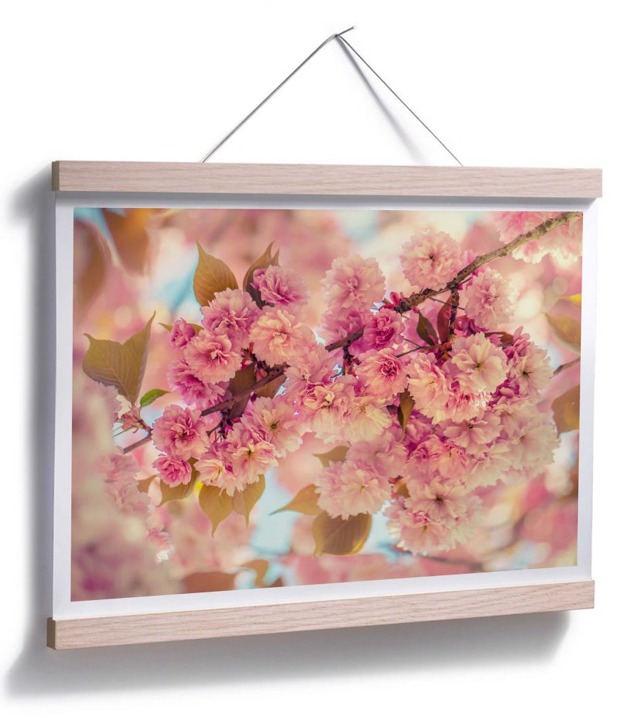 Wall-Art Poster »Kirschblüten«, (1 Natur, St.) online bestellen