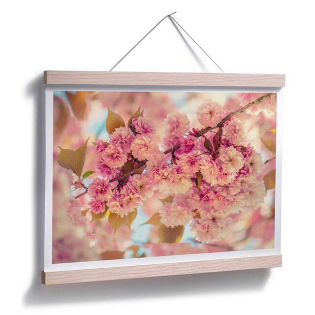Wall-Art Poster »Kirschblüten«, Natur, (1 St.) bestellen online