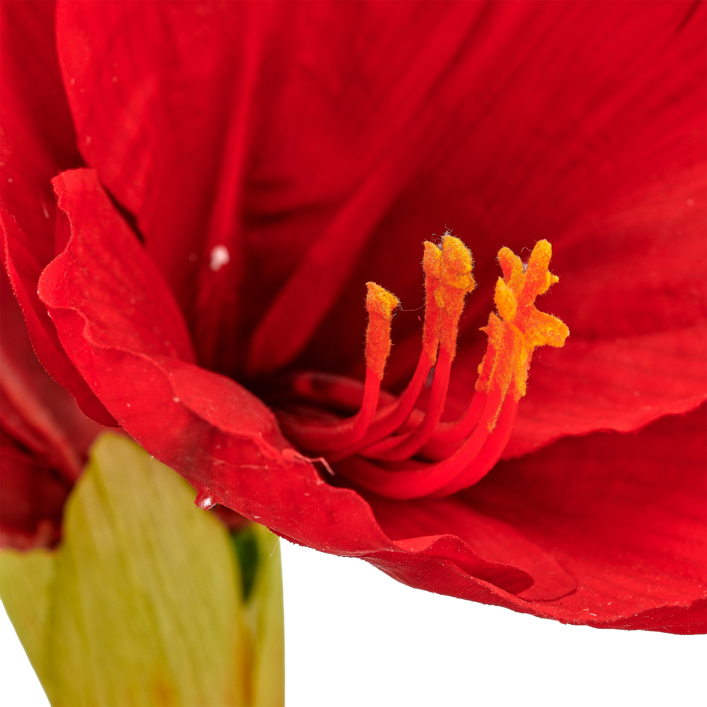 OTTO home Winterliche Kunstpflanze »Amaryllis, wahlweise in rot oder weiß, 48cm hoch« mit naturgetreuen, großen Blüten im Keramik Übertopf
