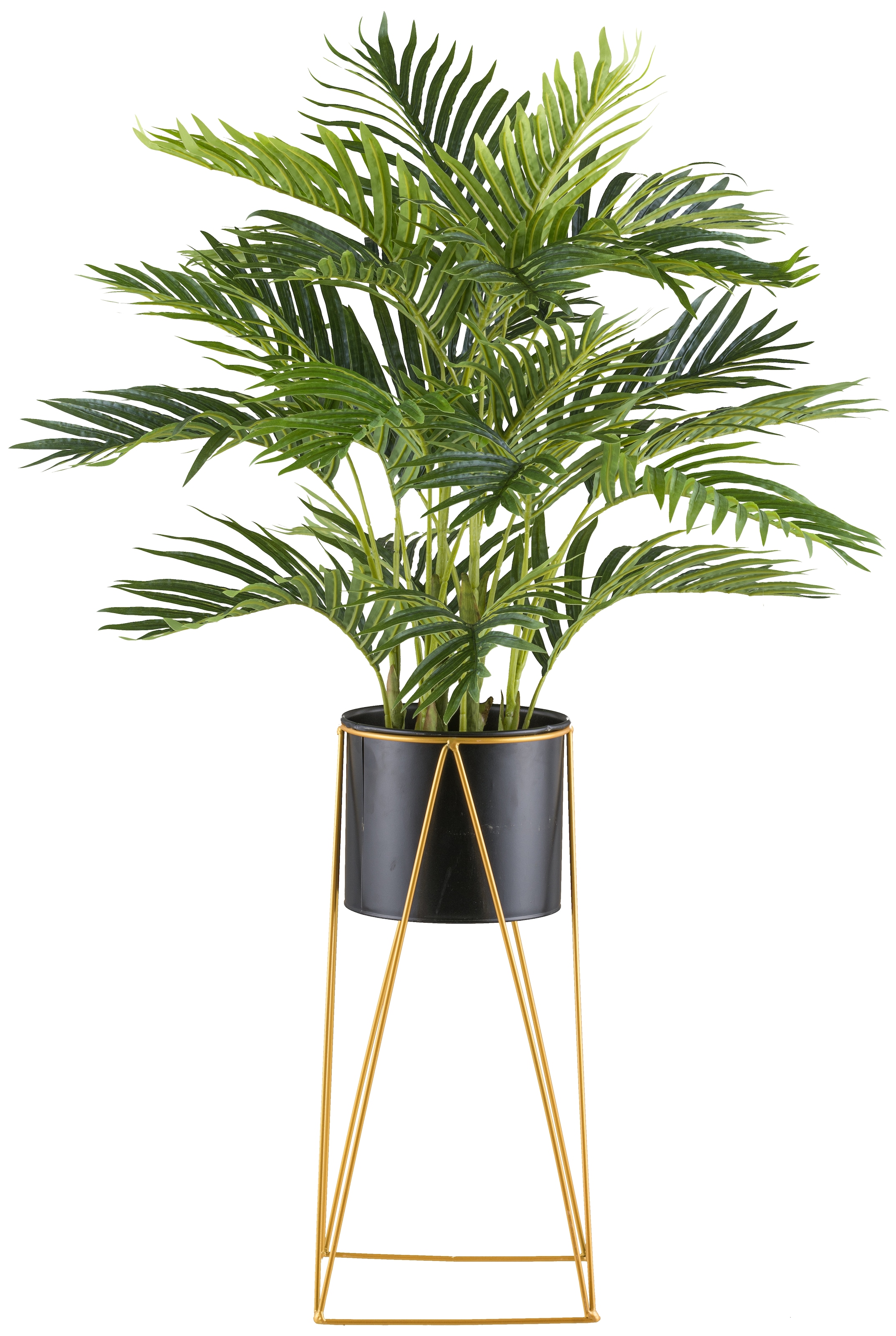Creativ green Kunstpalme »Kentiapalme«, mit Metallrack günstig online kaufen