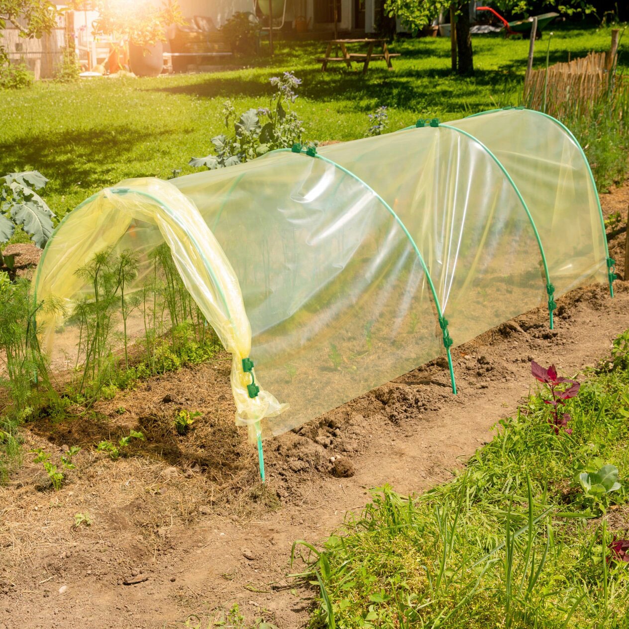 Windhager Schutzplane Wachstumsfolie, gelb, 2x5 m