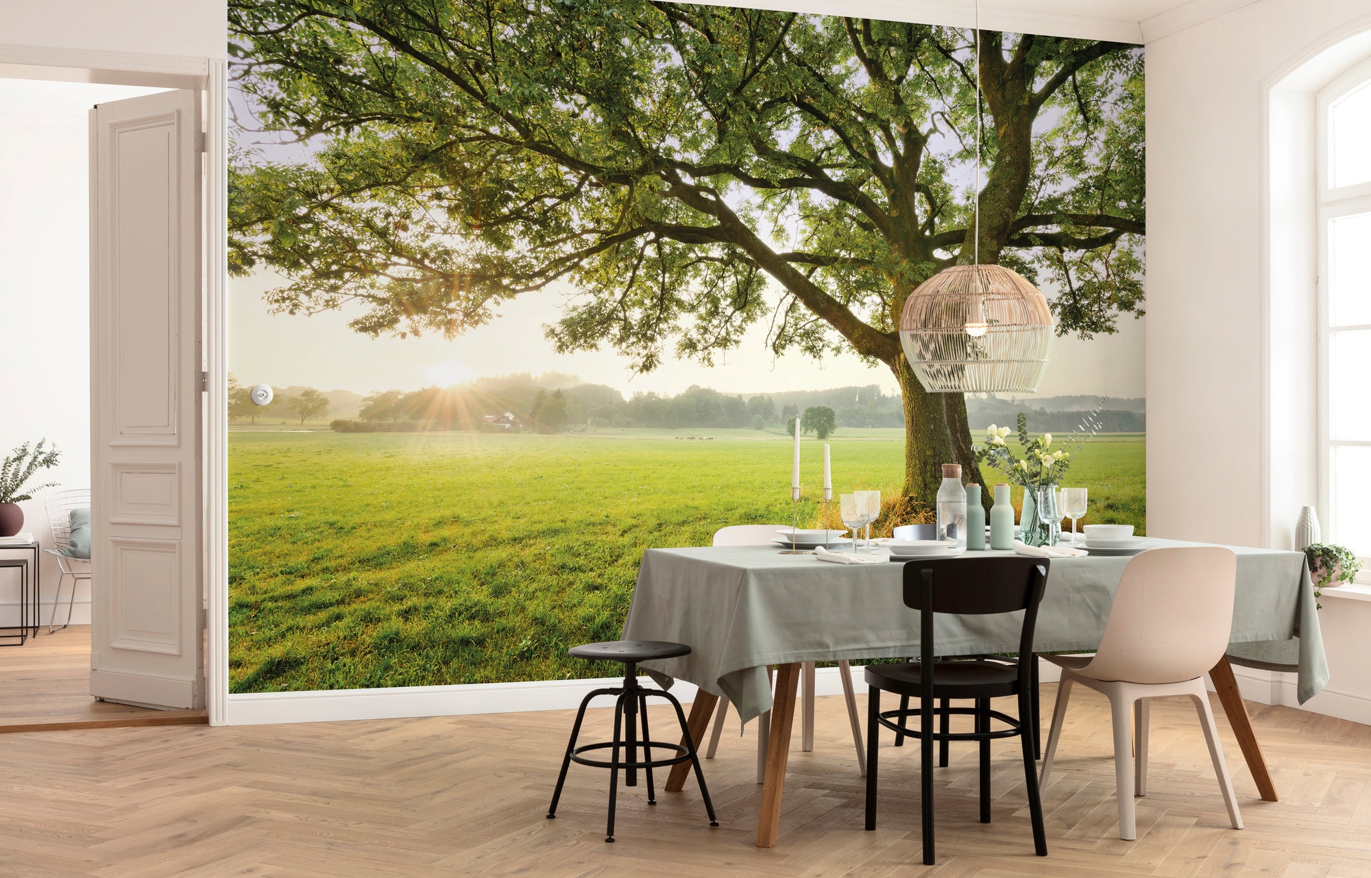 Komar Vliestapete »Digitaldruck Vlies -  The Magic Tree - Größe 450 x 280 cm« bedruckt glatt Wohnzimmer, Schlafzimmer