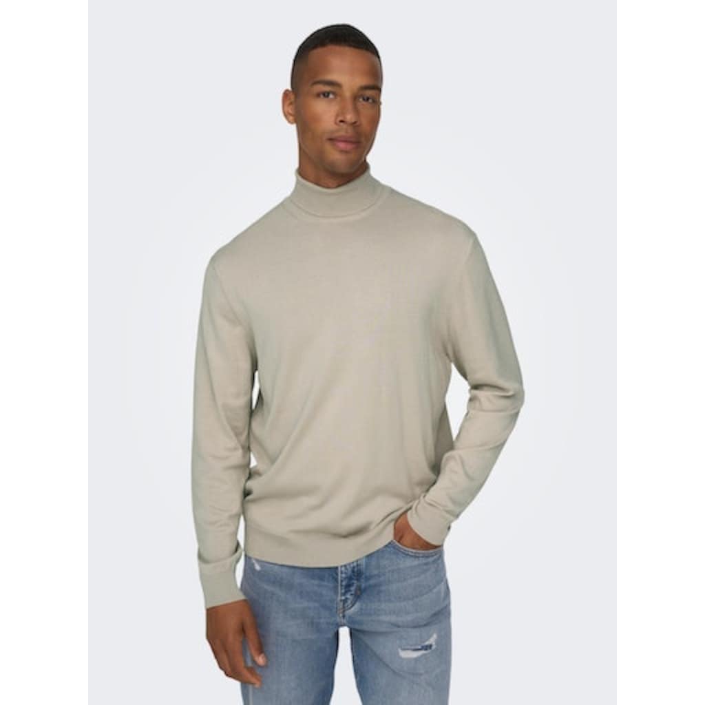 ONLY & SONS Rollkragenpullover »ONSWYLER LIFE REG ROLL NECK KNIT NOOS«