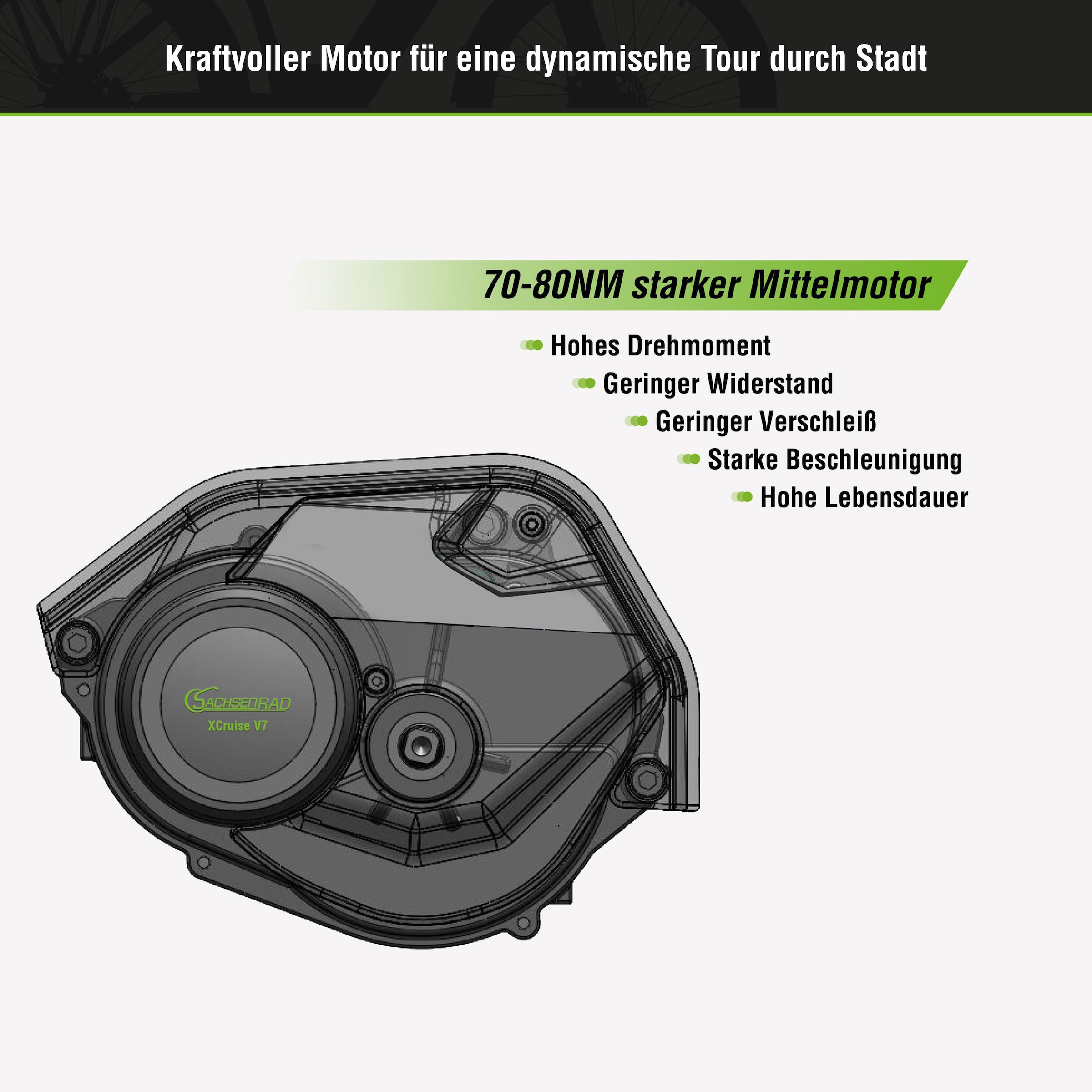 SachsenRad E-Bike »C5«, 7 Gang, Shimano, SHIMANO 7SP TOURNEY TY300, Mittelmotor 250 W, TFT Farb-LCD-Display, Fahrmodus Pedelec, 
LED-Frontlicht, Alarmanlage