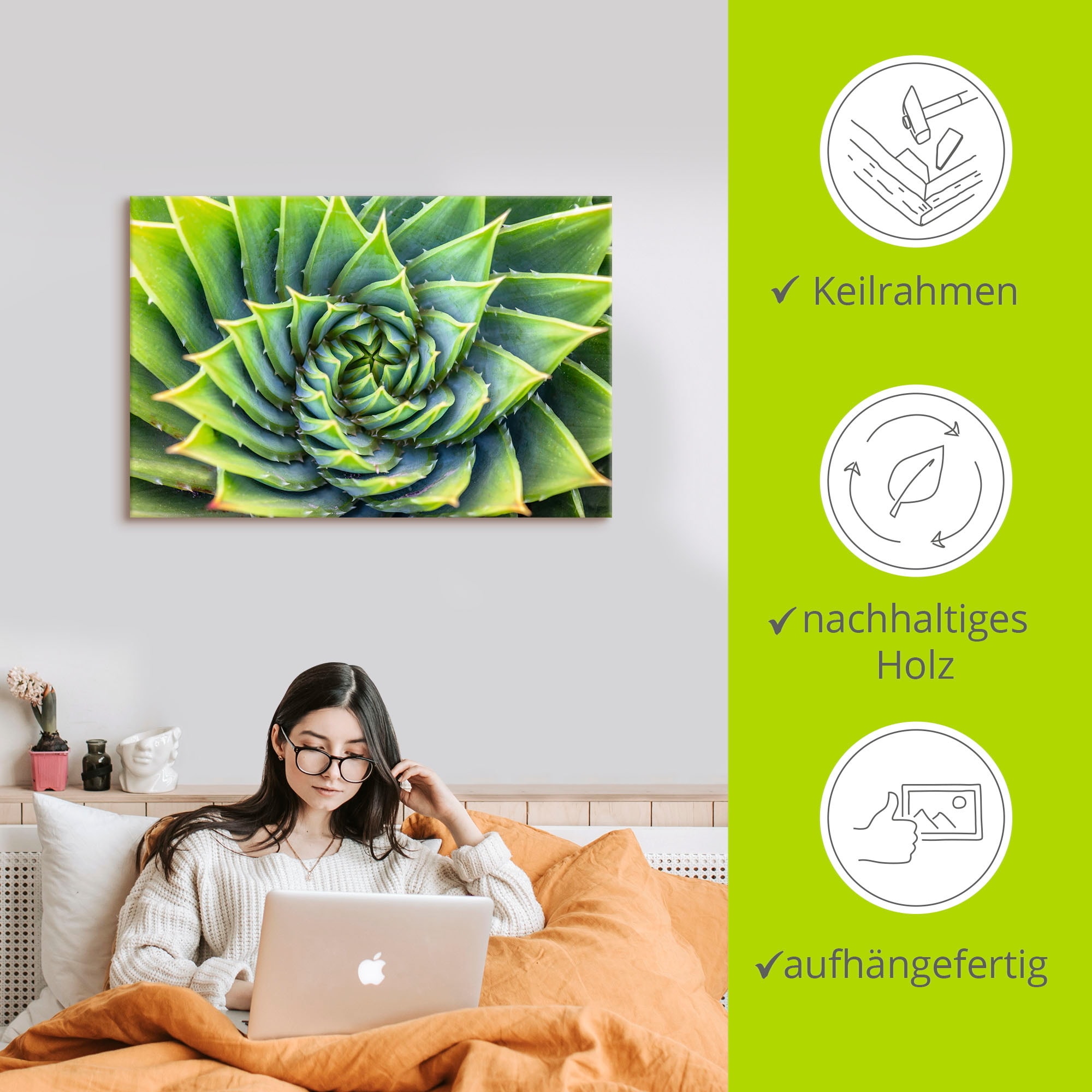 Artland Wandbild »Grüne Spirale«, Pflanzenbilder, (1 St.), als Alubild, Leinwandbild, Wandaufkleber oder Poster in versch. Größen