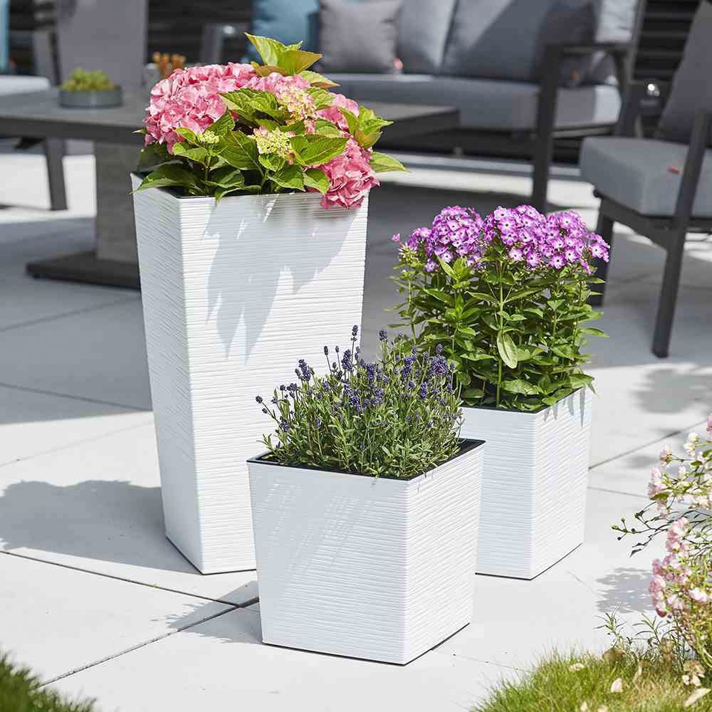 Siena Garden Pflanzkübel Rillenoptik, eckig