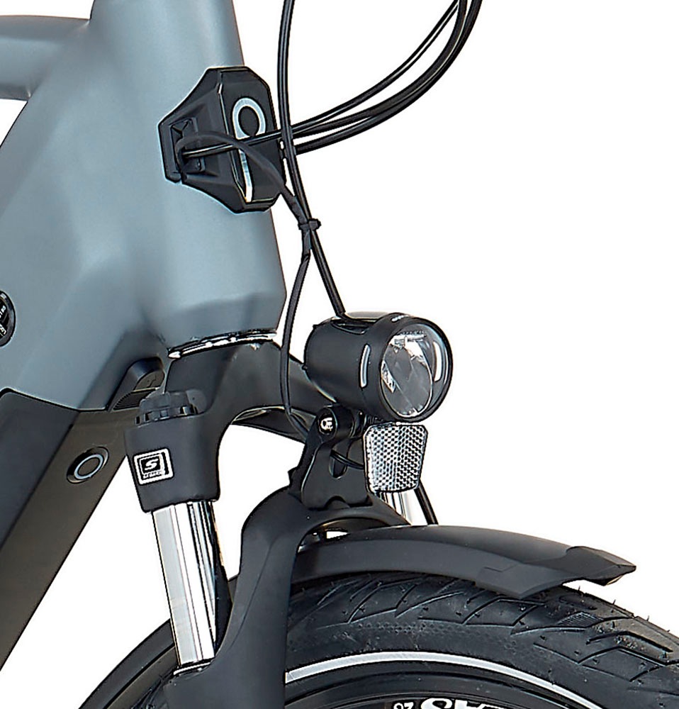 Prophete E-Bike »Prophete E-Bike Entdecker 3.8«, 8 Gang, Shimano, Altus, Mittelmotor 250 W, Pedelec