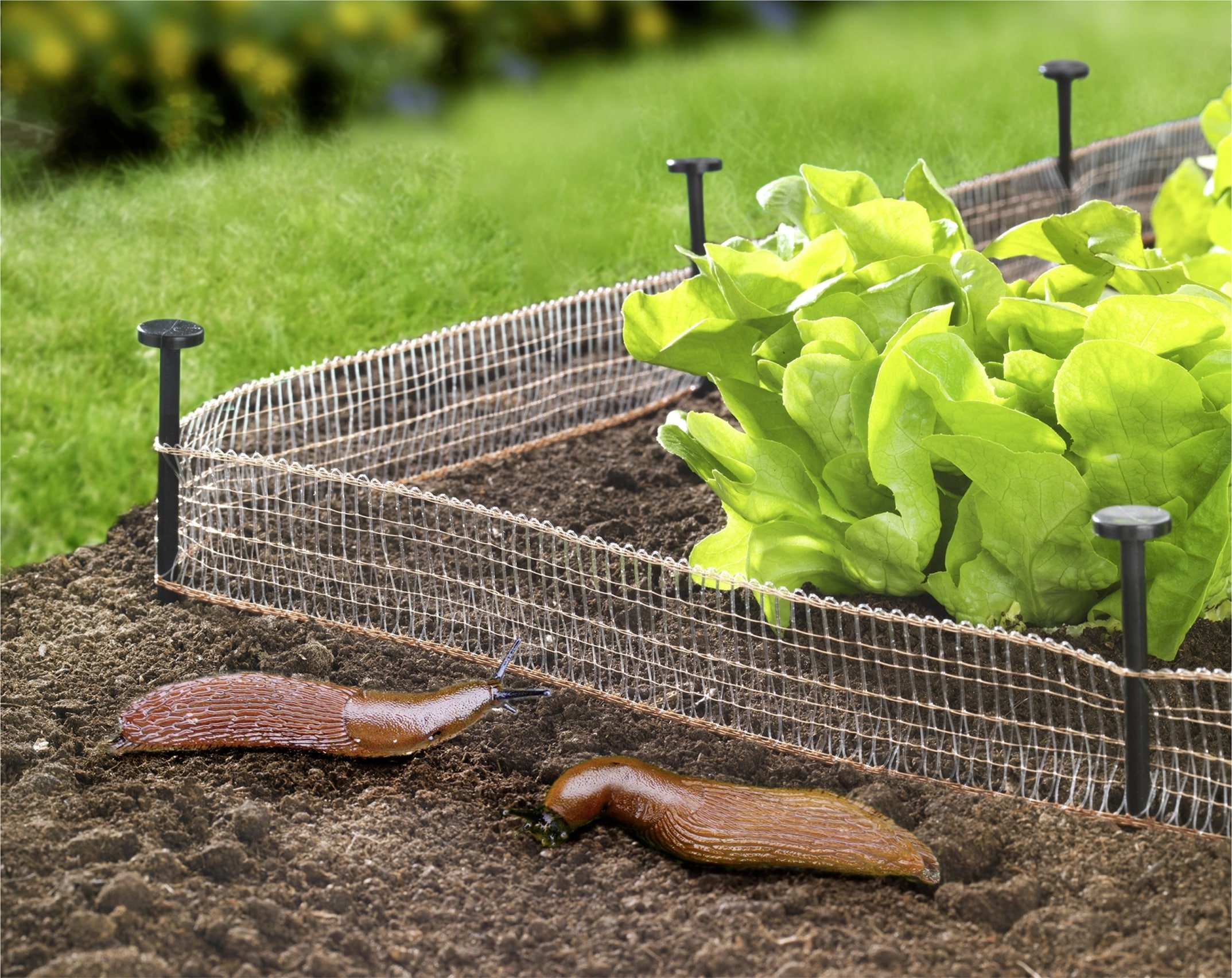 WENKO Schneckenzaun »Schnecken-Stopp« 2 x 8 m