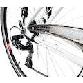 KS Cycling Trekkingrad »Canterburry«, 21 Gang, Shimano, Tourney Schaltwerk, Kettenschaltung