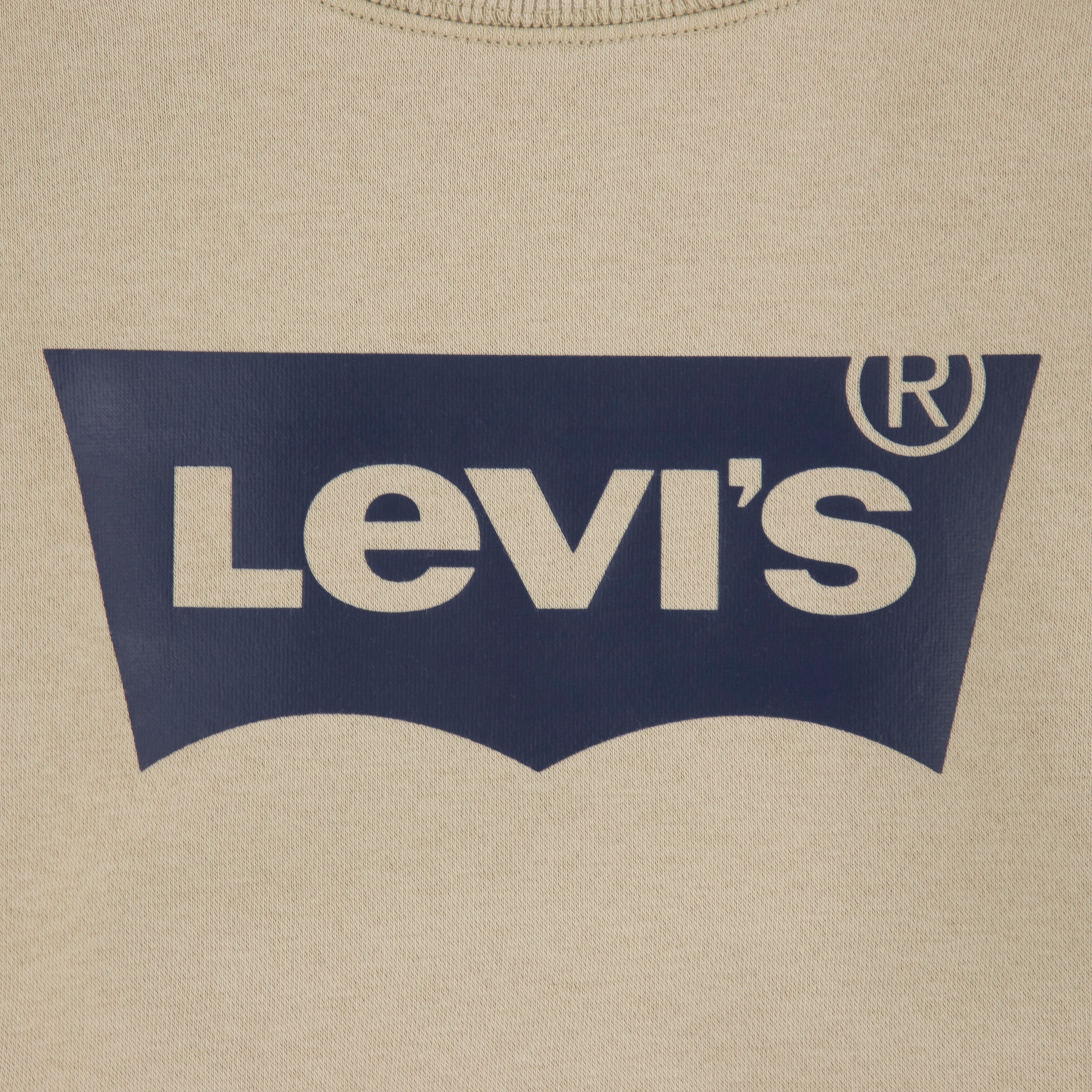 Levi's® Kids Sweatshirt »LVB LVB FRENCH TERRY BATWING«, mit großem Logo
