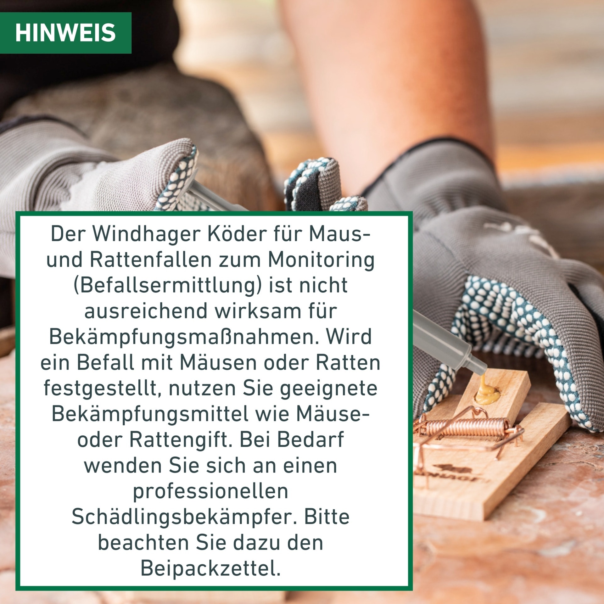 Windhager Schlagfalle »Maus und Ratten Köderspritze im Doppelpack, gift- und chemiefrei« für Mäuse- und Rattenfallen, Köderspritze gefüllt mit Erdnussbutter