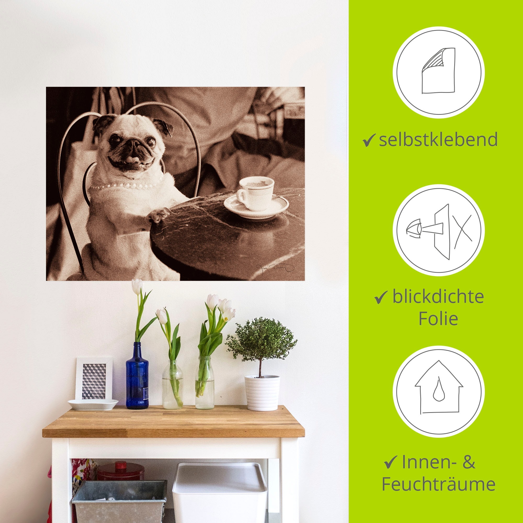 Artland Wandbild »Kaffee Mops«, Haustiere, (1 St.), als Leinwandbild, Poster, Wandaufkleber in verschied. Größen