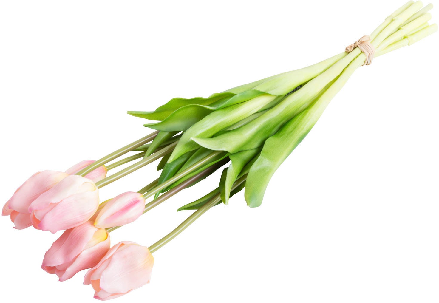 Botanic-Haus Kunstblume »Tulpenbündel« günstig online kaufen