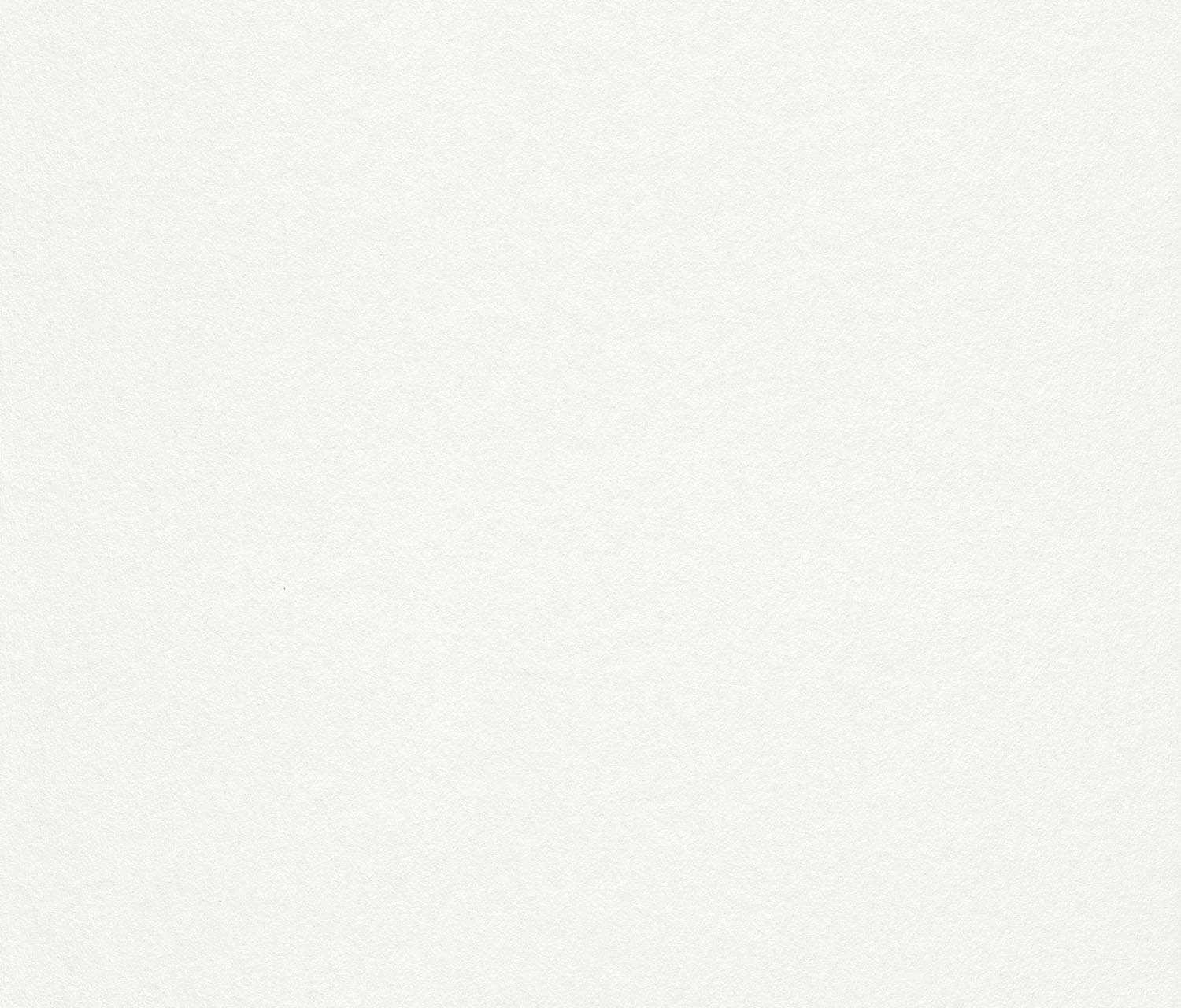 Rasch Vliestapete »Makulaturvlies« uni geprägt