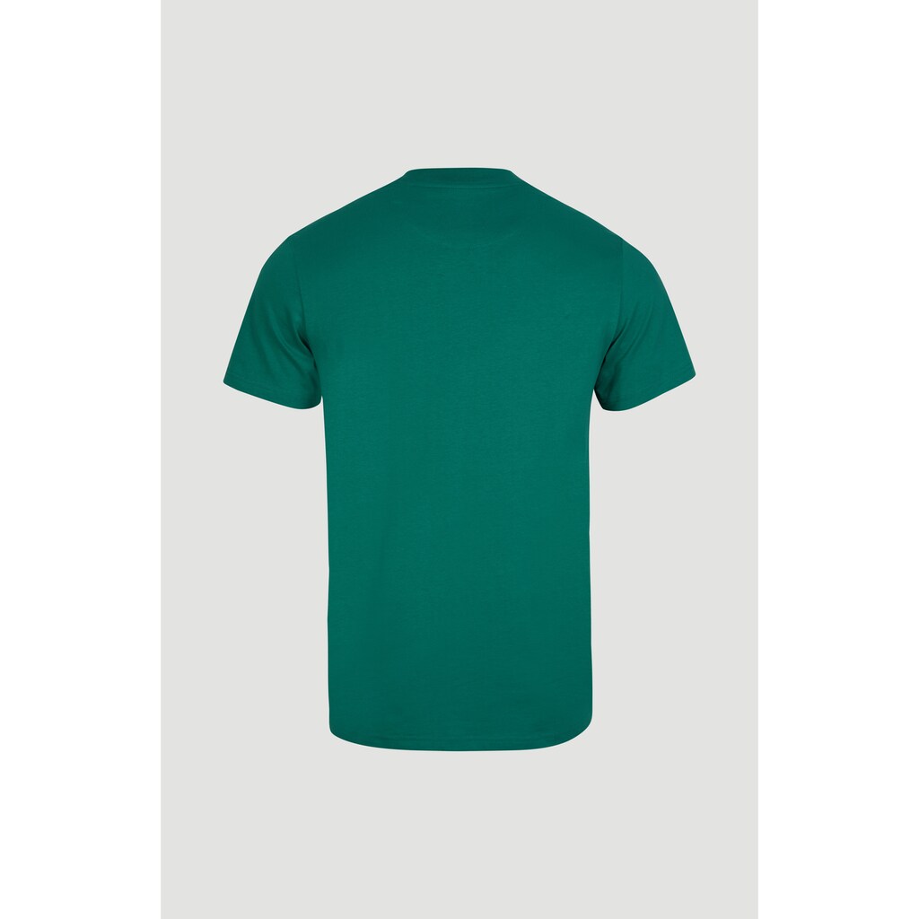 O'Neill T-Shirt »O'neill«