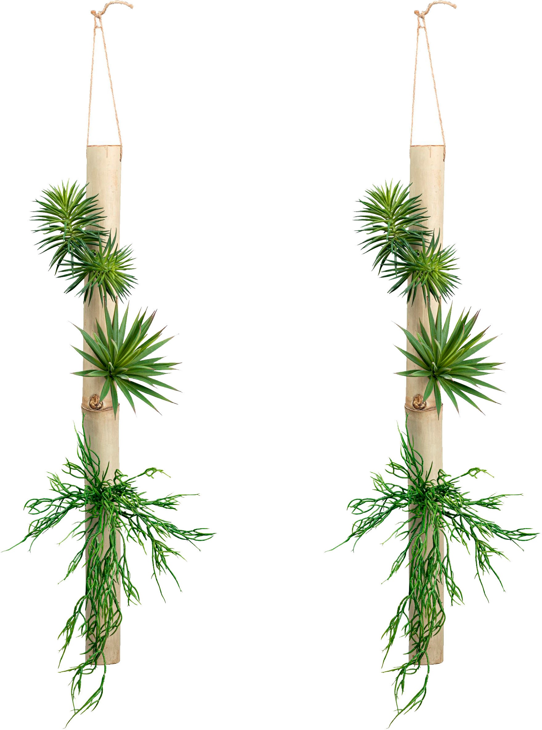 Creativ green Kunstpflanze »Deko-Sukkulente auf Natur-Bambusrohr«, aus Naturbambusrohr
