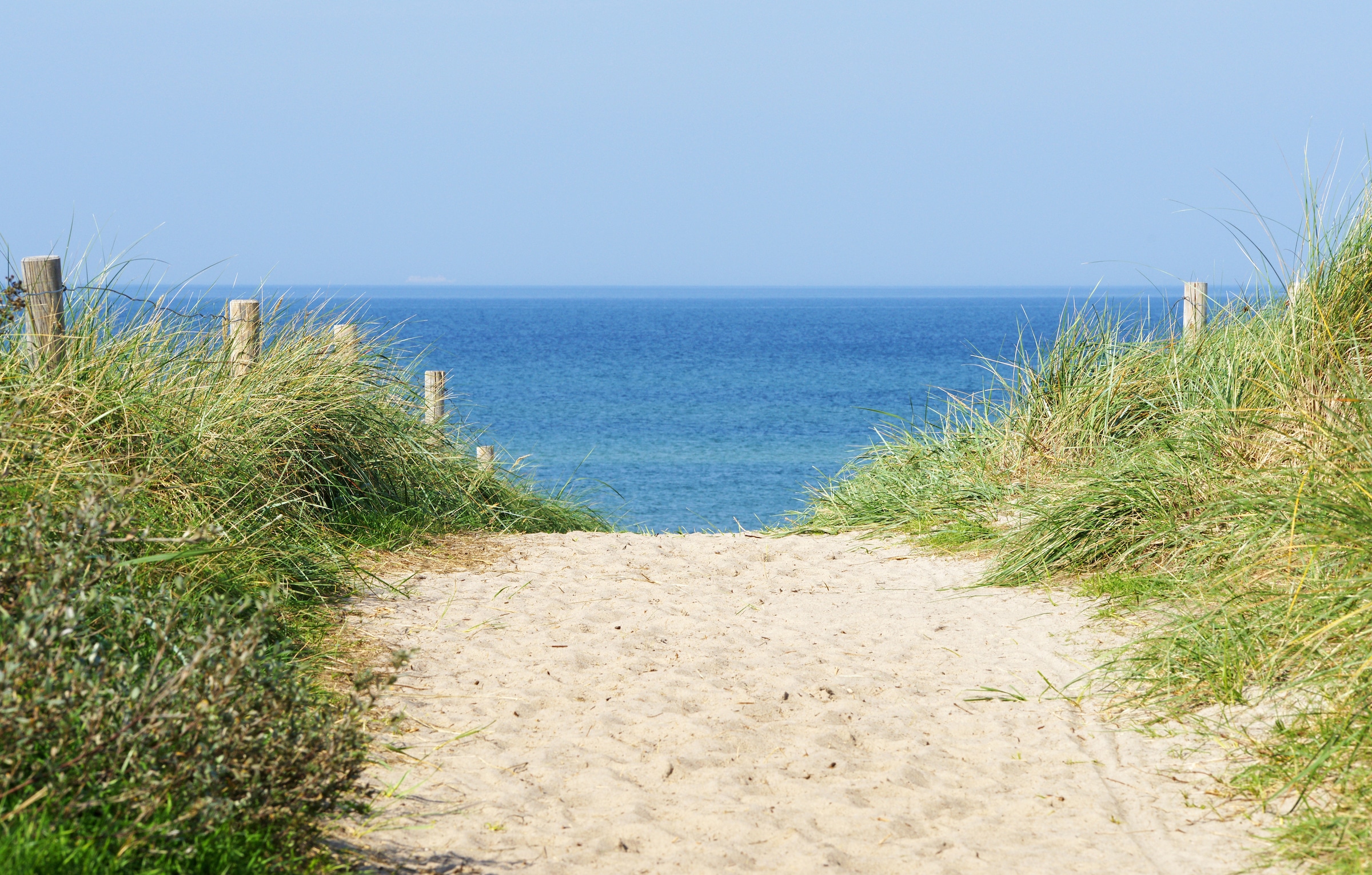 Papermoon Fototapete »Dune at the Ocean« glatt günstig online kaufen