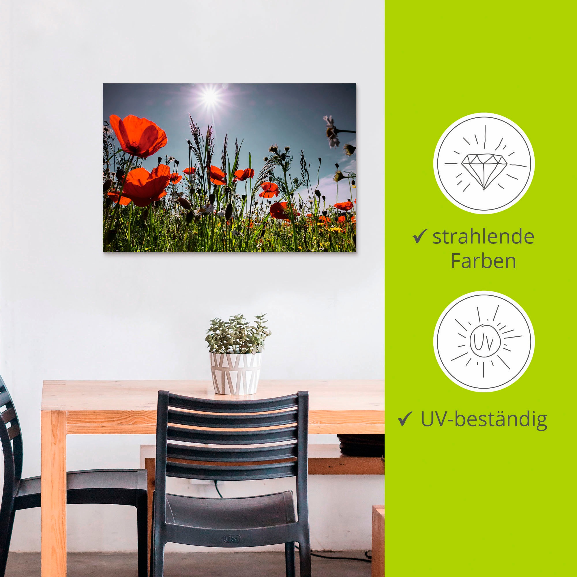 Artland Wandbild »Mohnblumenwiese«, Blumenwiese, (1 St.), als Alubild, Outdoorbild, Leinwandbild, Poster in verschied. Größen