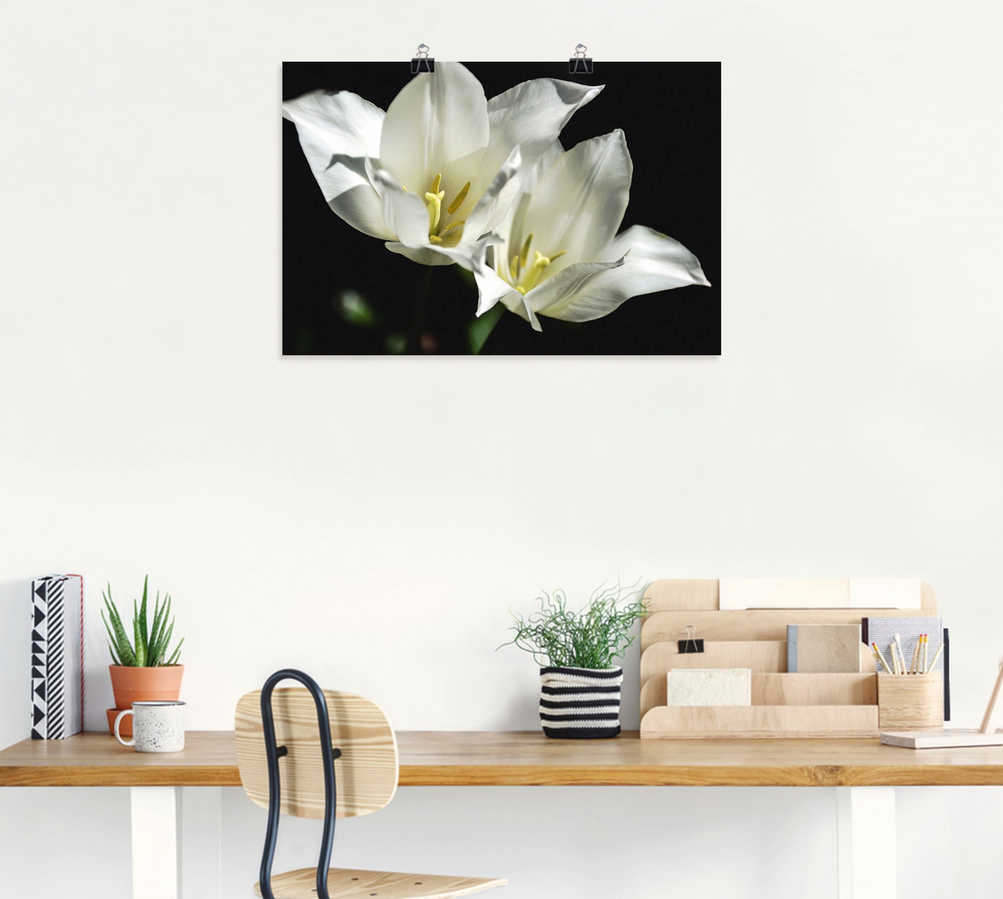 Artland Wandbild »Tulpen - weiß auf schwarz«, Blumenbilder, (1 St.), als Alubild, Leinwandbild, Wandaufkleber oder Poster in versch. Größen