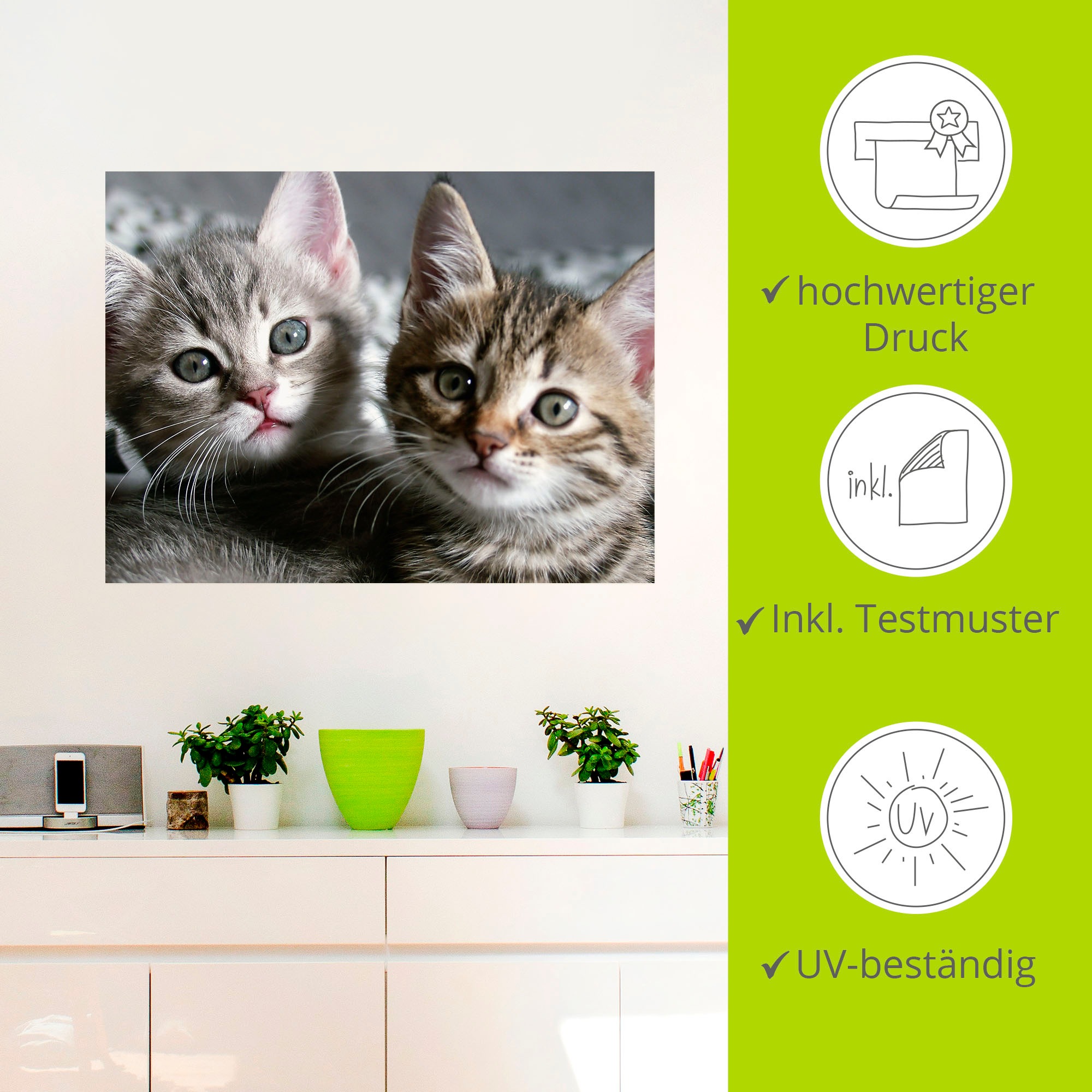 Artland Wandbild »Katze«, Haustiere, (1 St.), als Alubild, Outdoorbild, Leinwandbild, Poster, Wandaufkleber