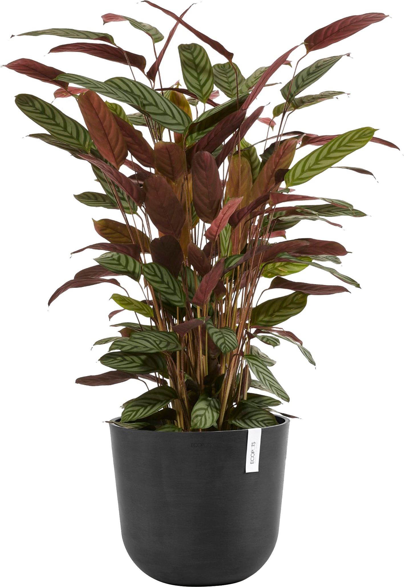 ECOPOTS Blumentopf »Oslo 35 Dunkelgrau«, für innen und außen: frostsicher, bruchsicher und lichtbeständig