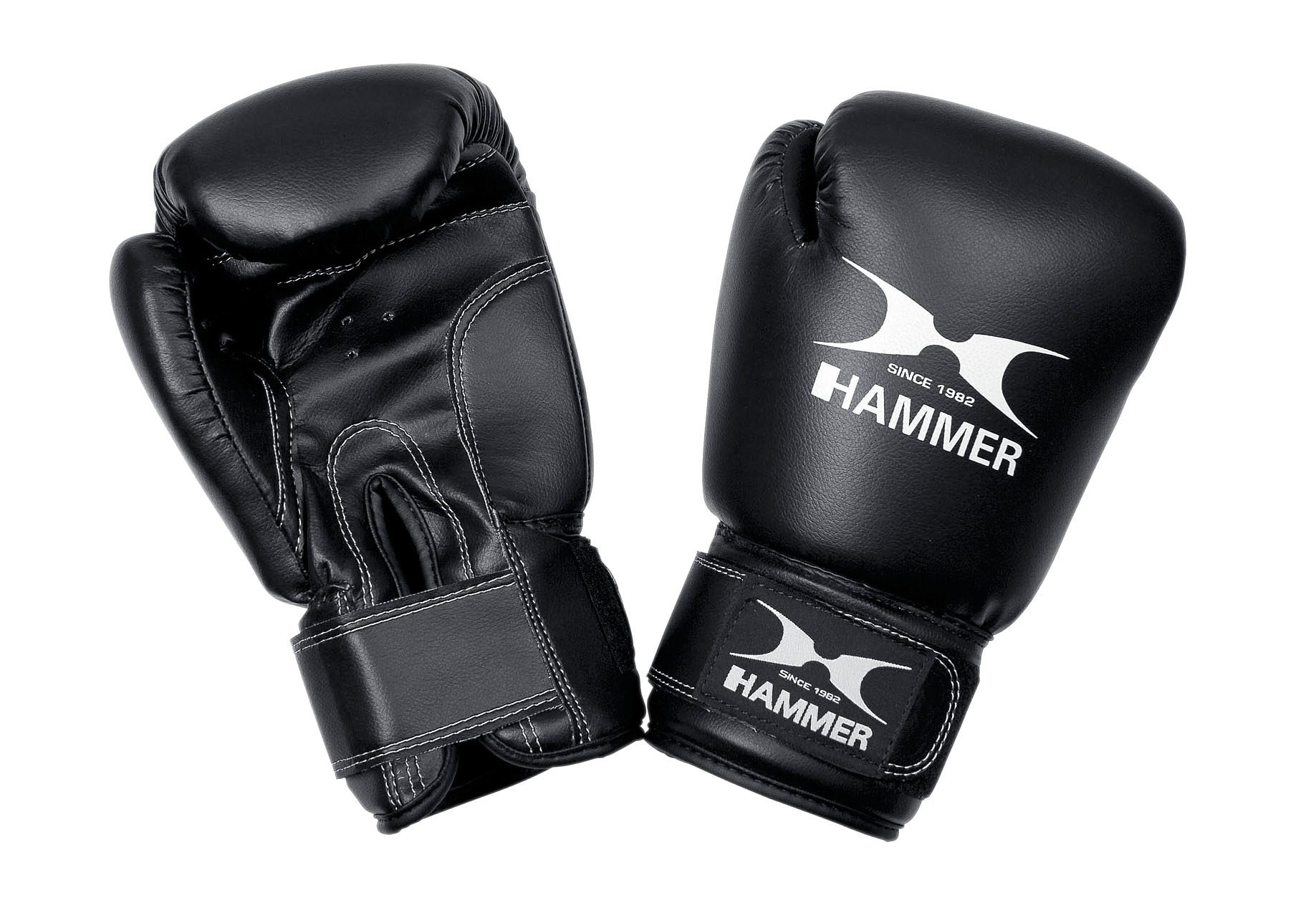 Hammer Boxsack »Canvas Professional«, (Set, mit Trainings-DVD-mit Boxhandschuhen-mit Sprungseil-mit Haken)