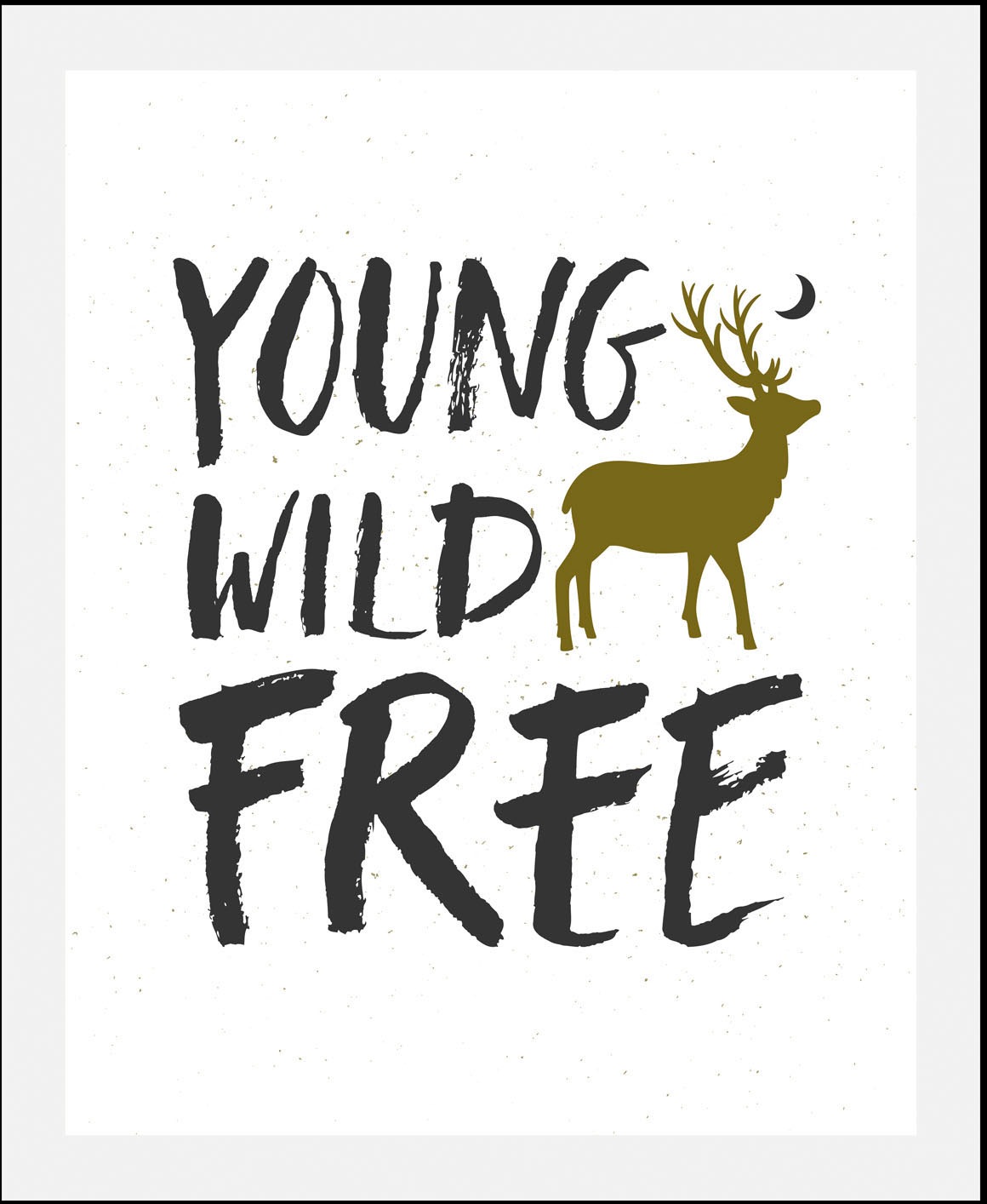 queence Bild »Young Wild Free«, Schriftzüge-Schriftzug-Sprüche & Texte-Moti günstig online kaufen